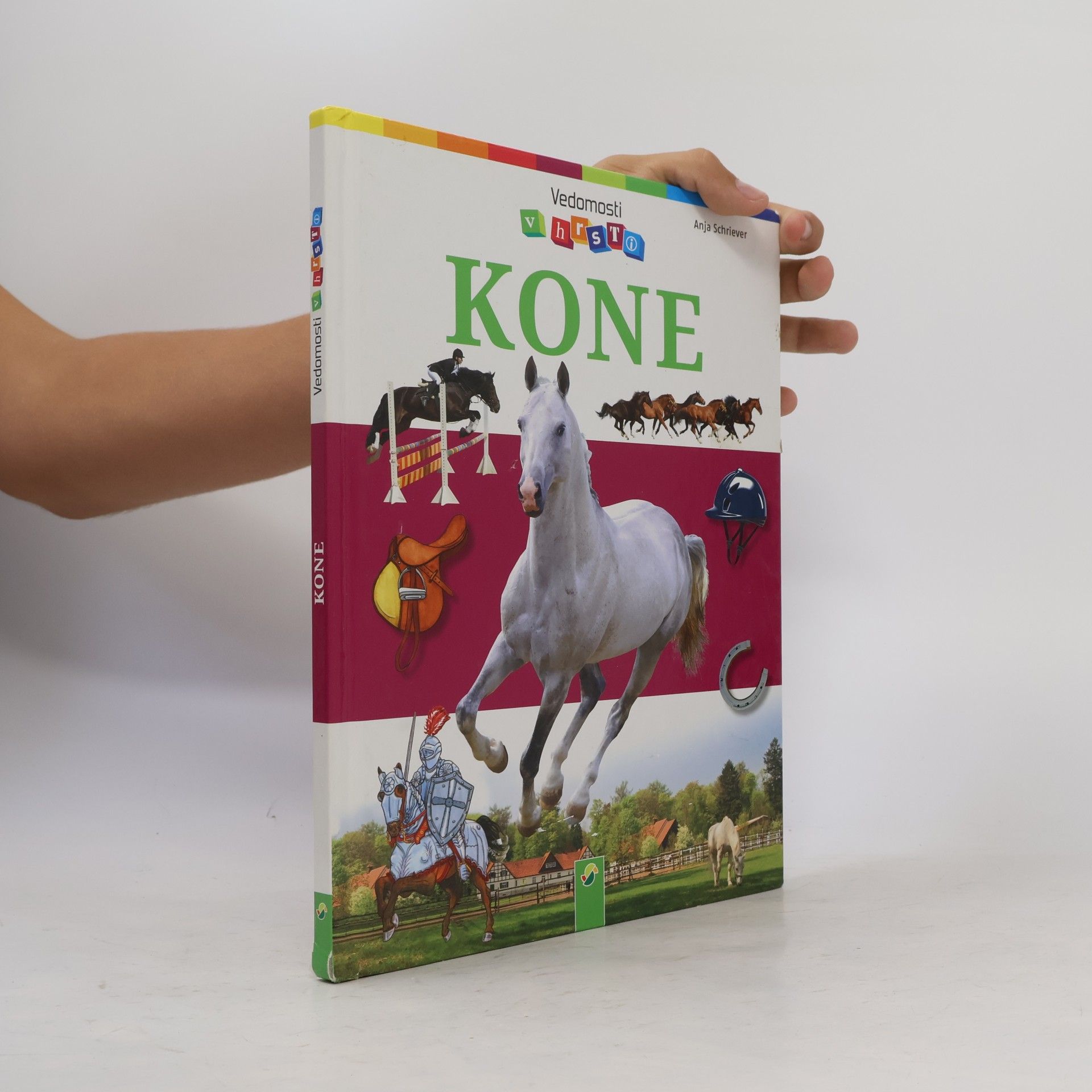 Anja Schriever Kone