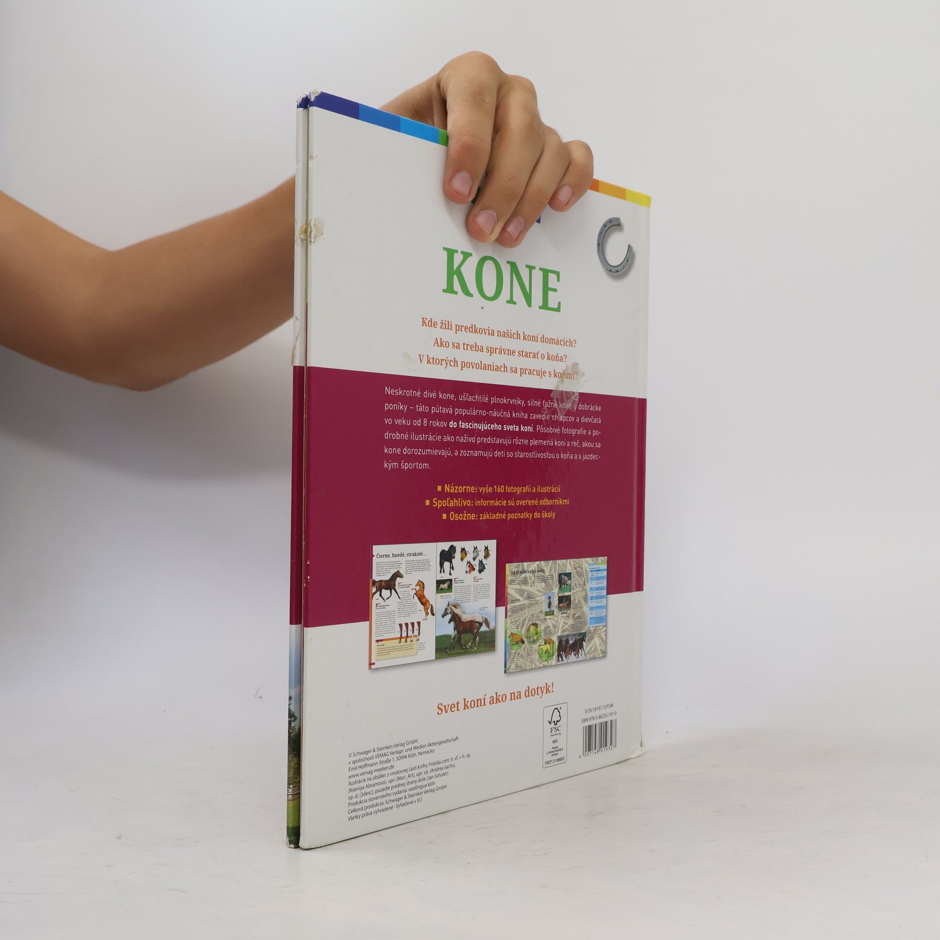 Anja Schriever Kone