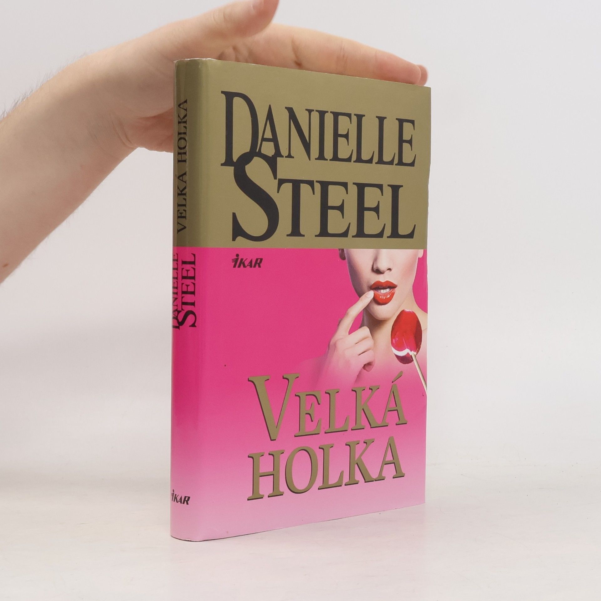 Danielle Steel Velká holka