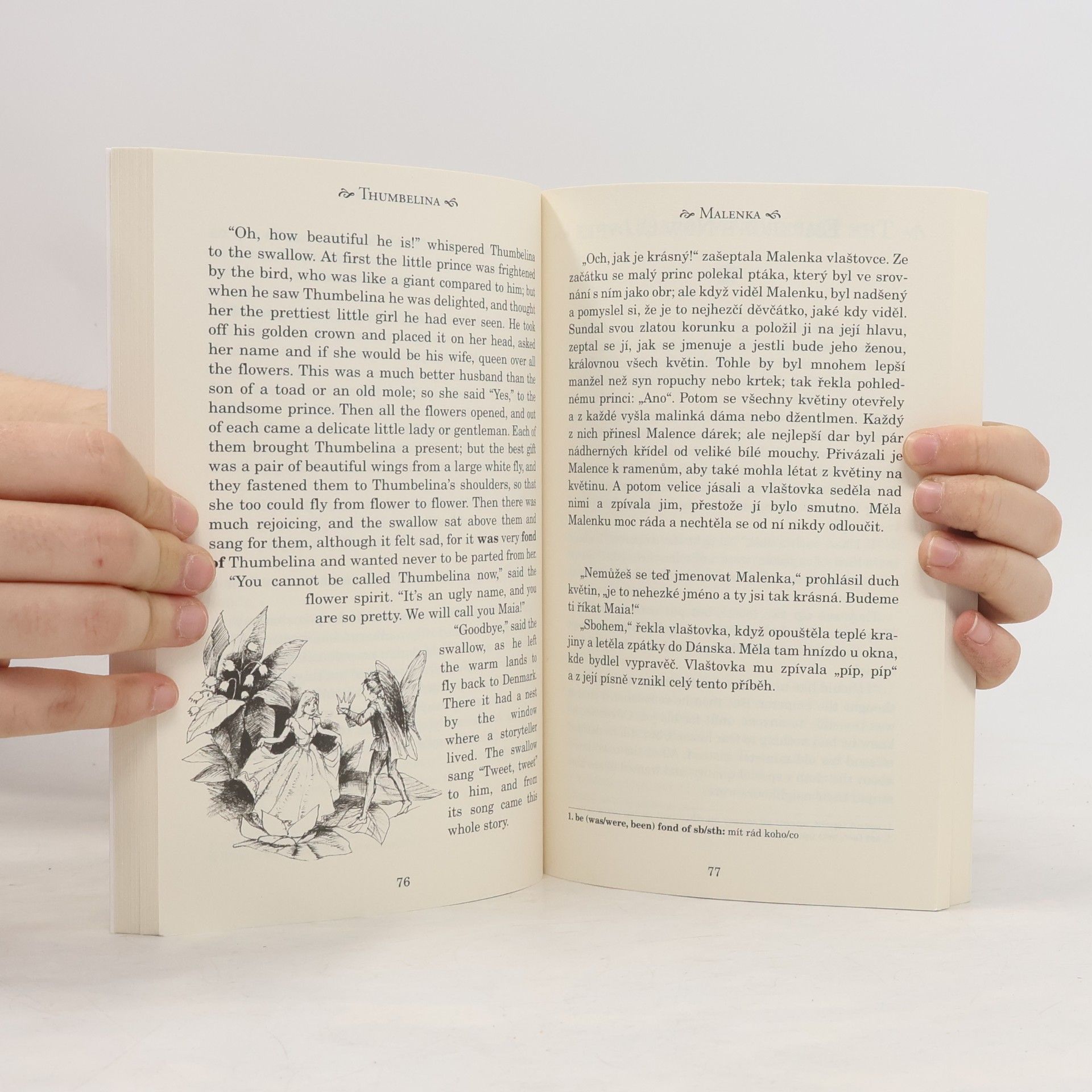 Hans Christian Andersen Fairy Tales. Pohádky H. Ch. Andersena