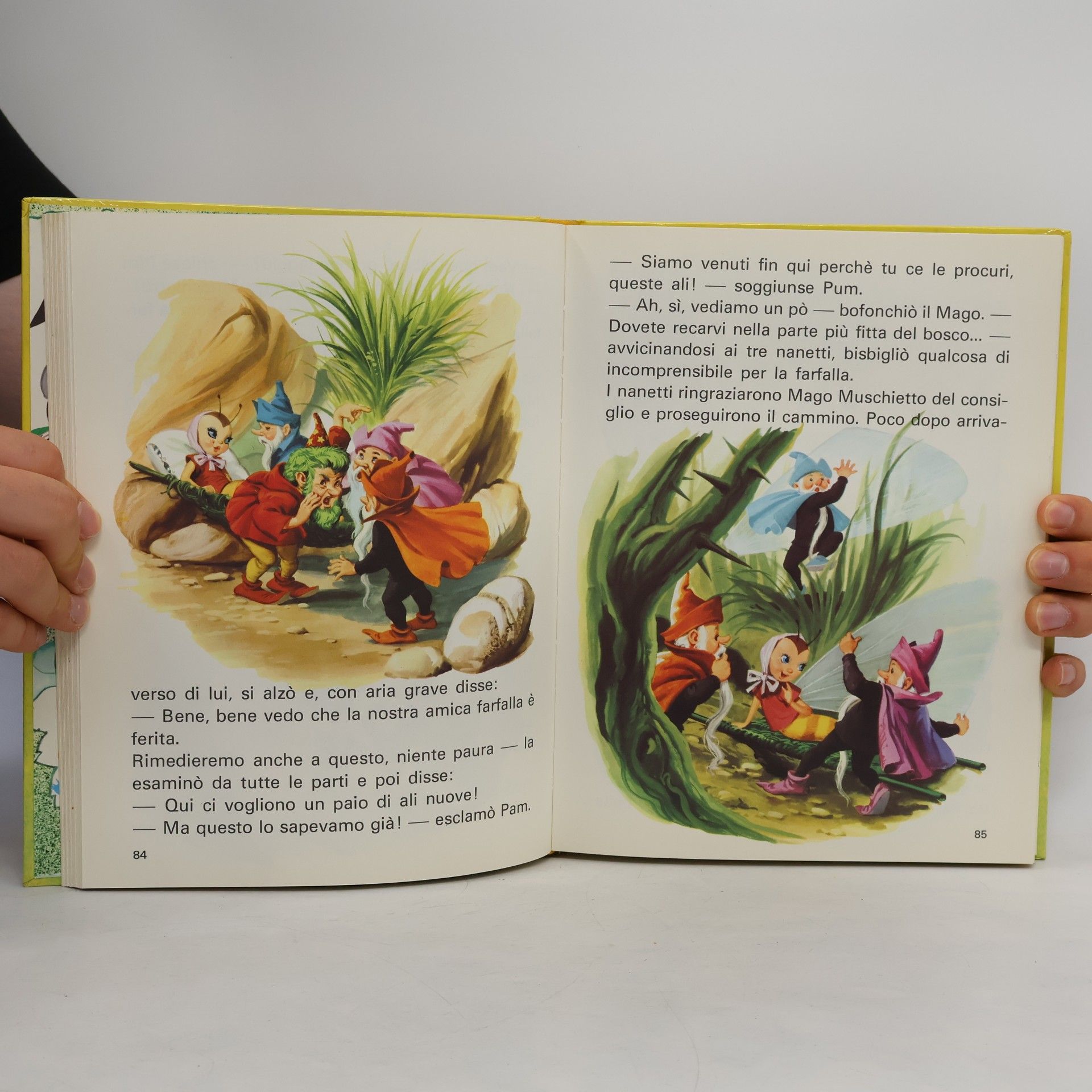 Collectif d'auteurs Fantasia di favole