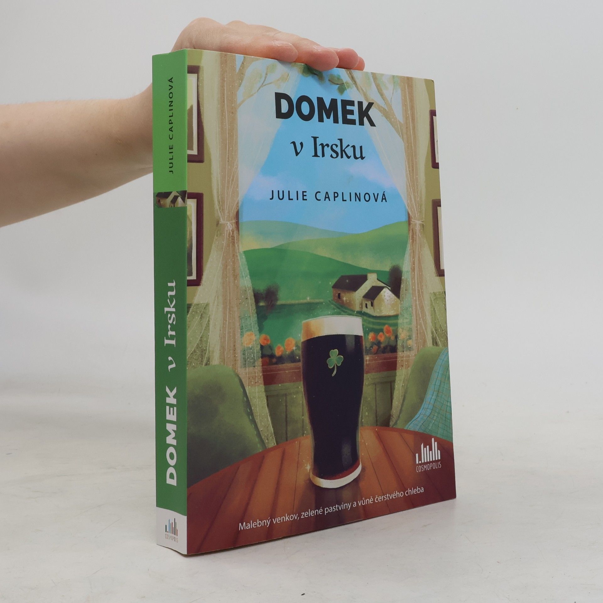 Julie Caplin Domek v Irsku
