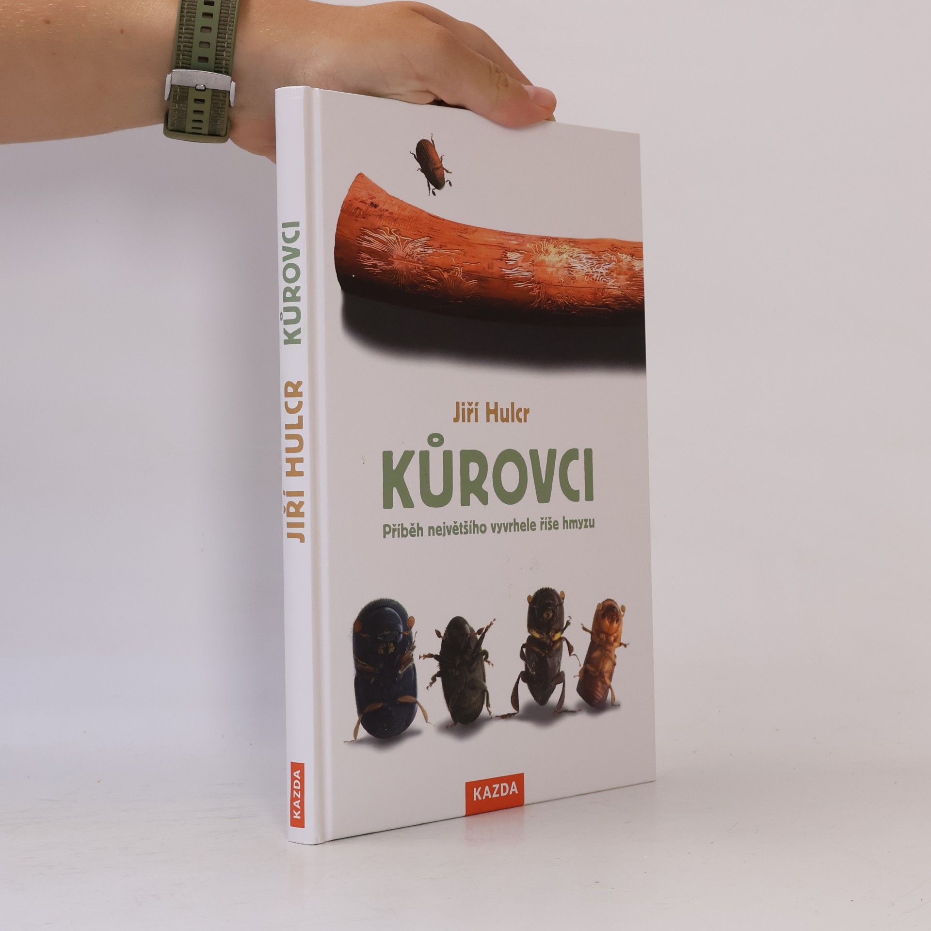 Jiří Hulcr Kůrovci
