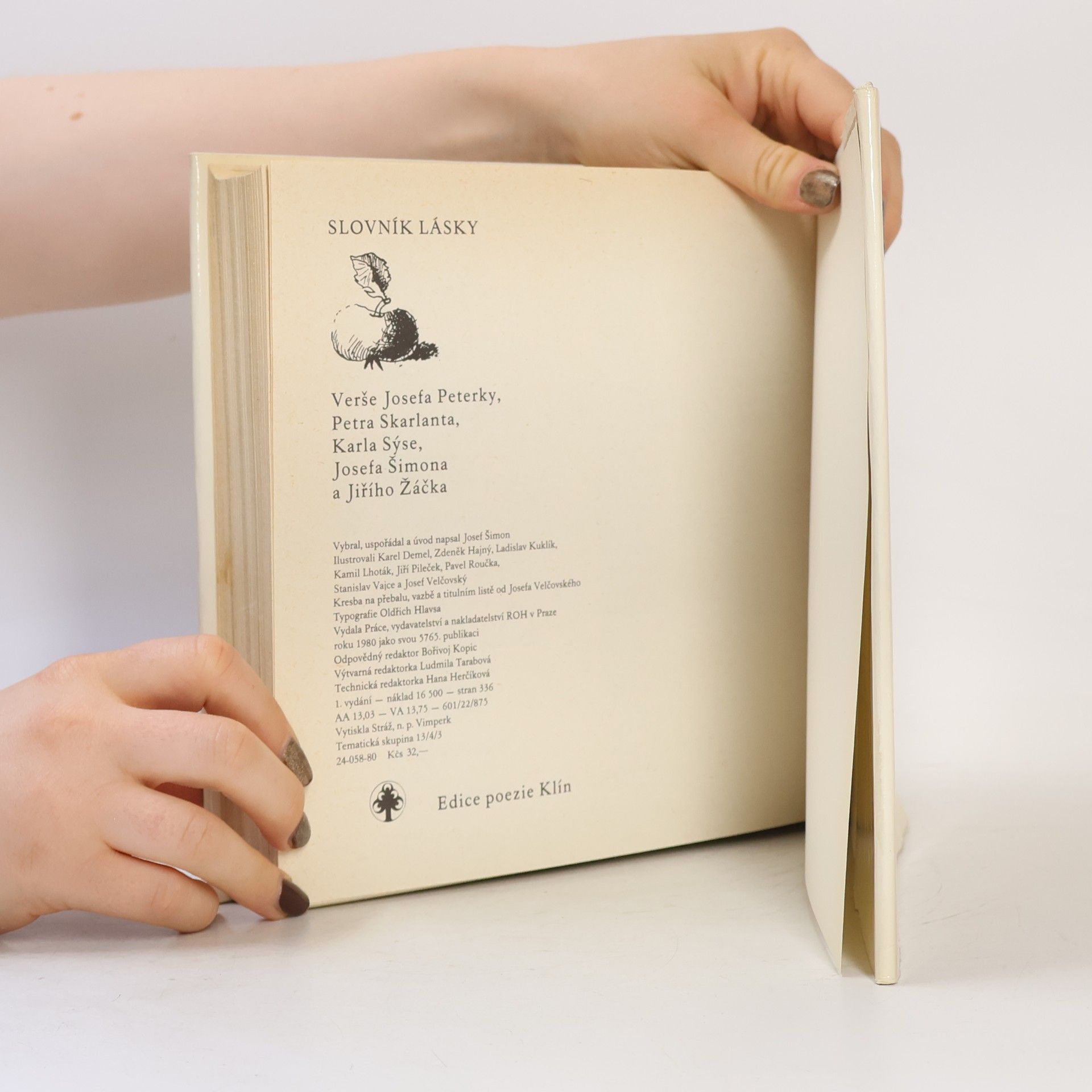 Collectif d'auteurs Slovník lásky