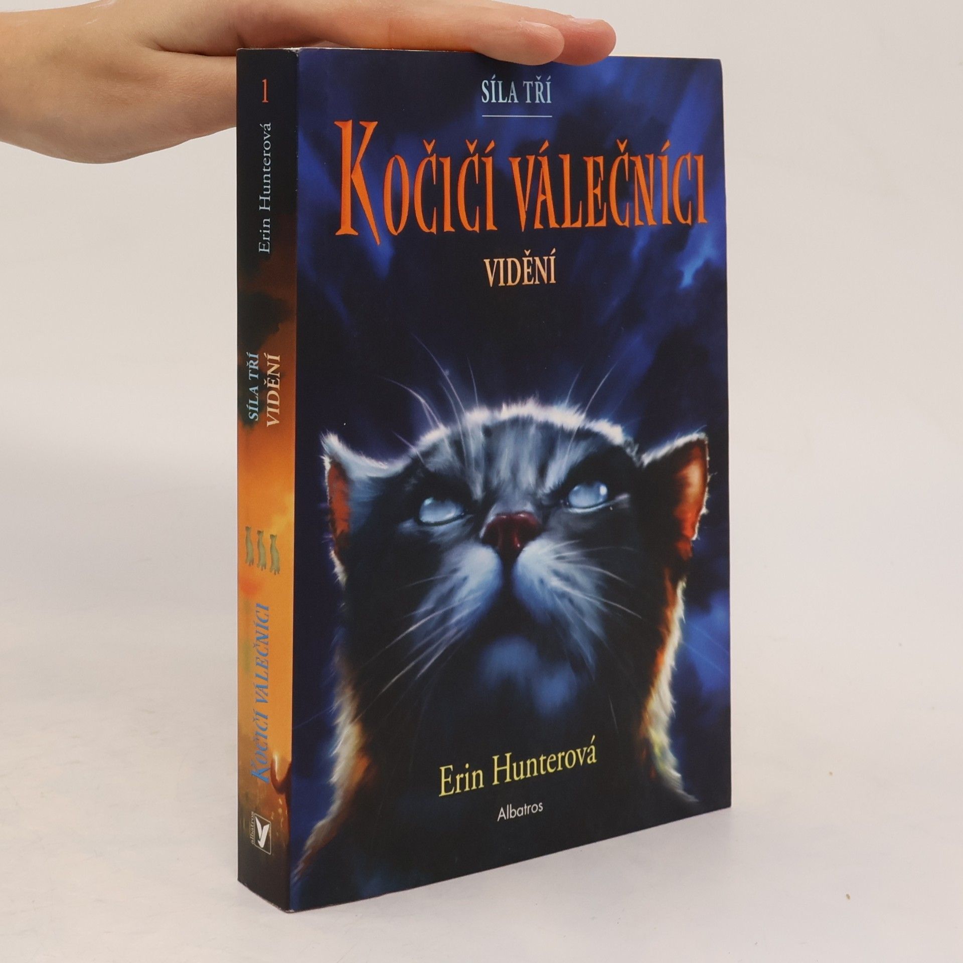 Erin Hunter Kočičí válečníci : síla tří. Vidění