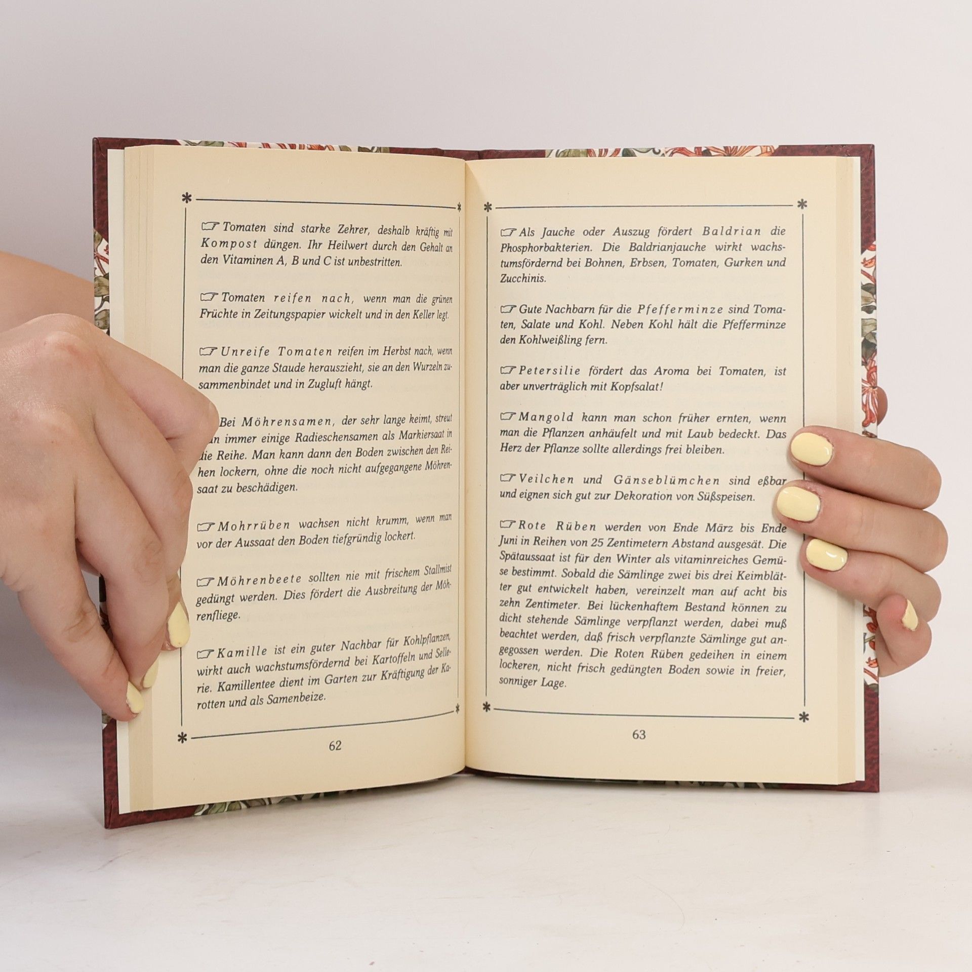 Autorenkollektiv Im April die Schnecken, und im Sommer Quecken