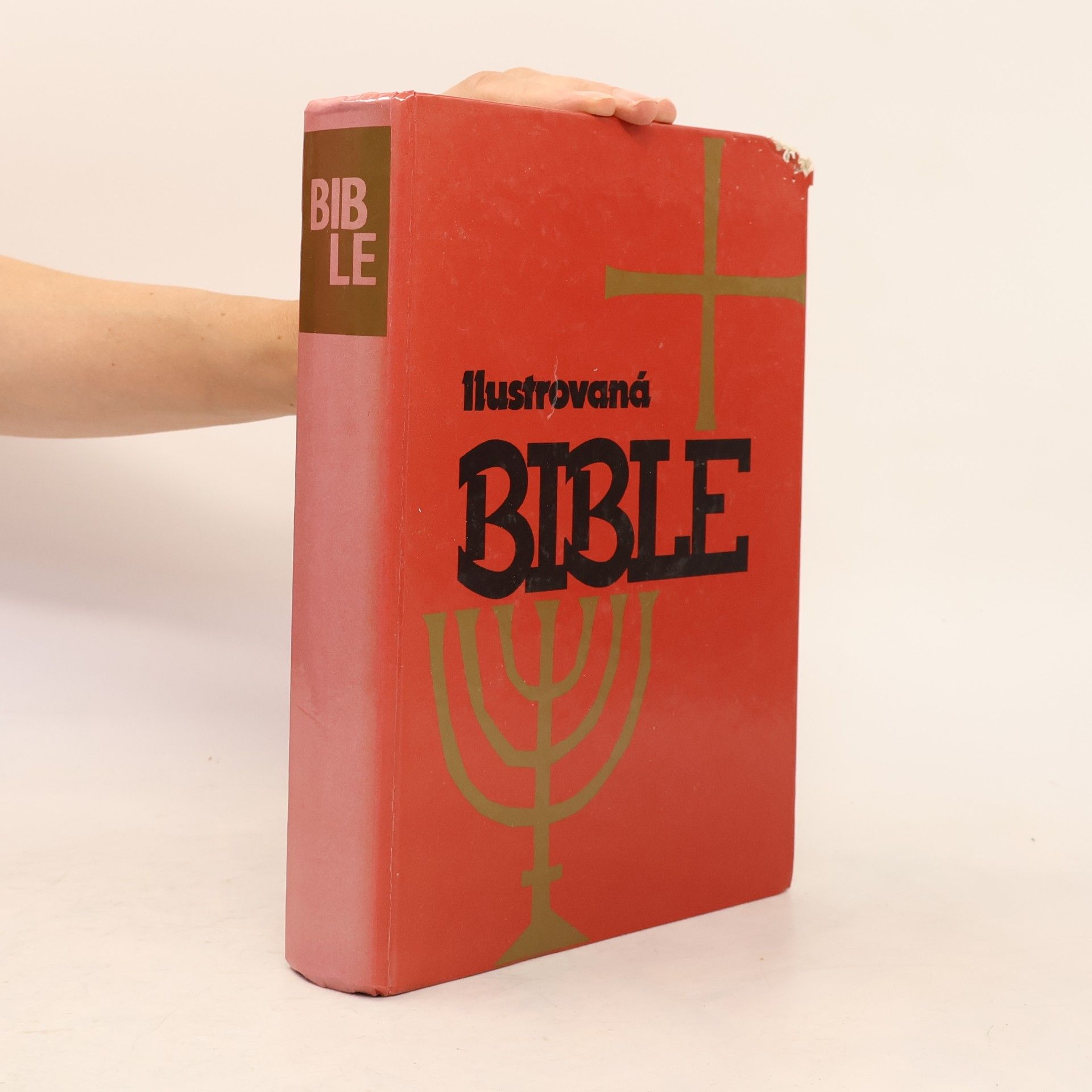 Samuel Terrien Ilustrovaná Bible pro mládež