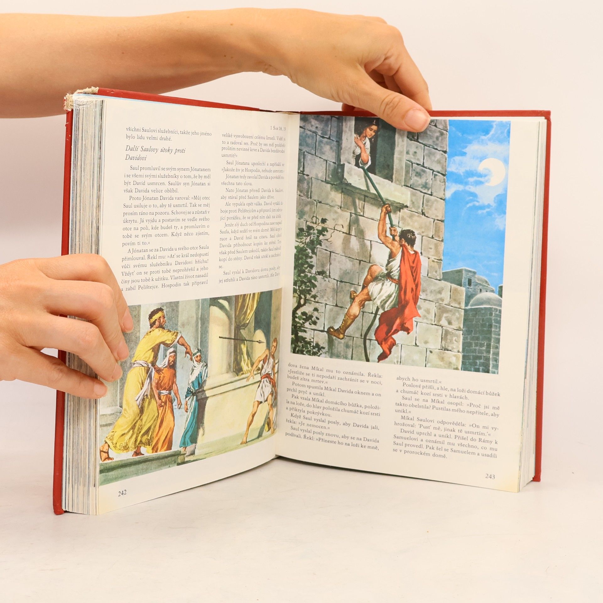 Samuel Terrien Ilustrovaná Bible pro mládež