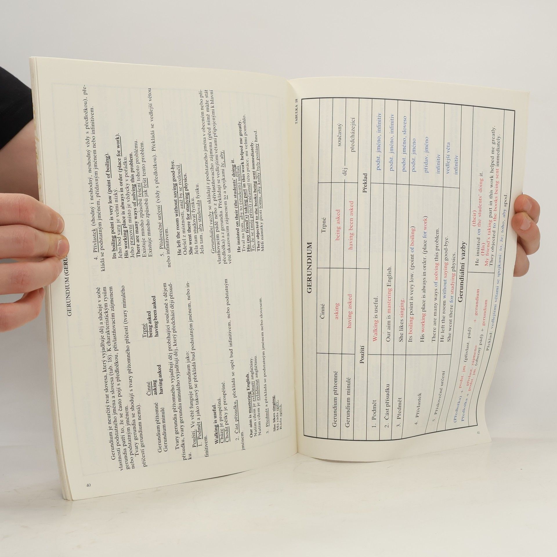 Nelly V. Šanajevová Revision of English Grammar