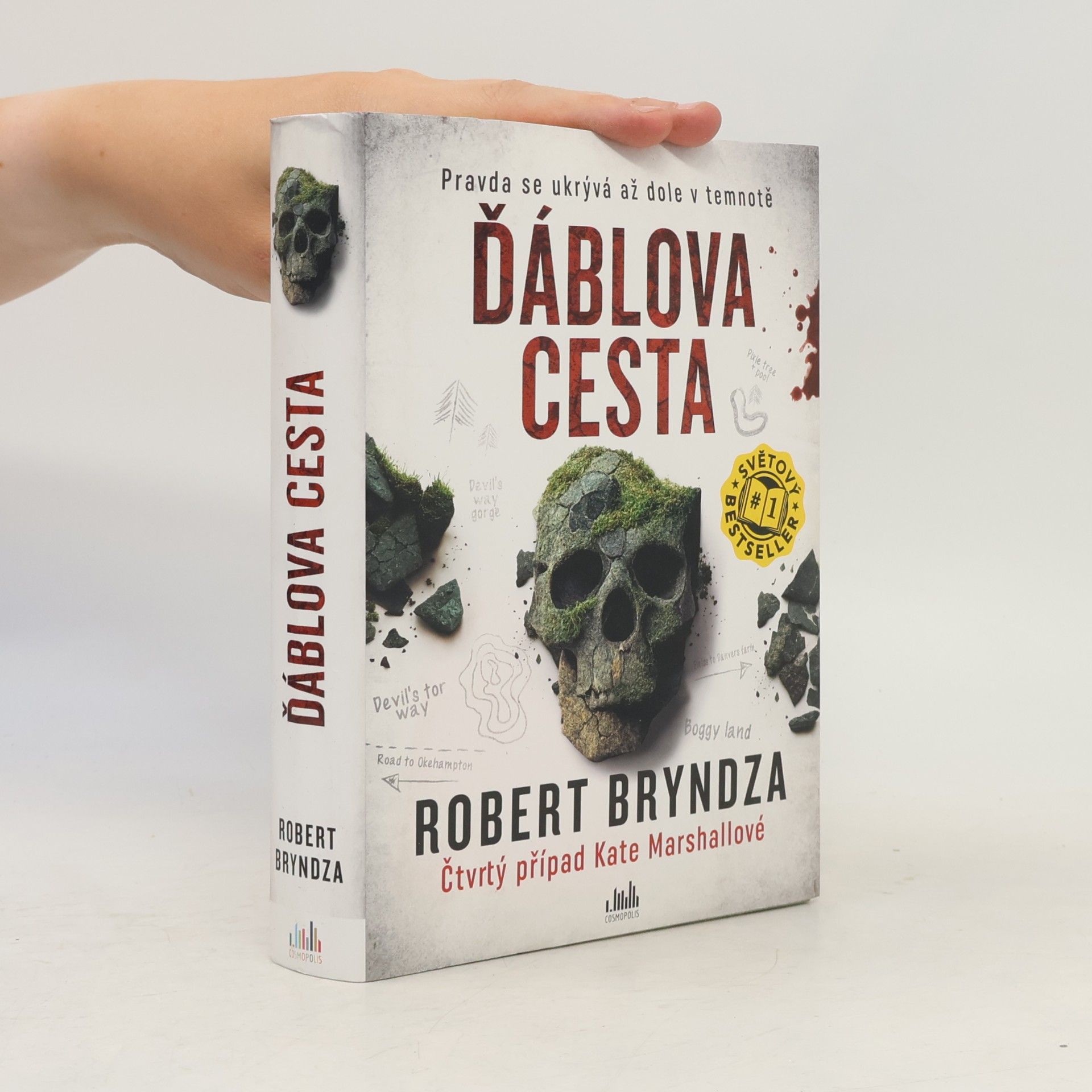 Robert Bryndza Ďáblova cesta