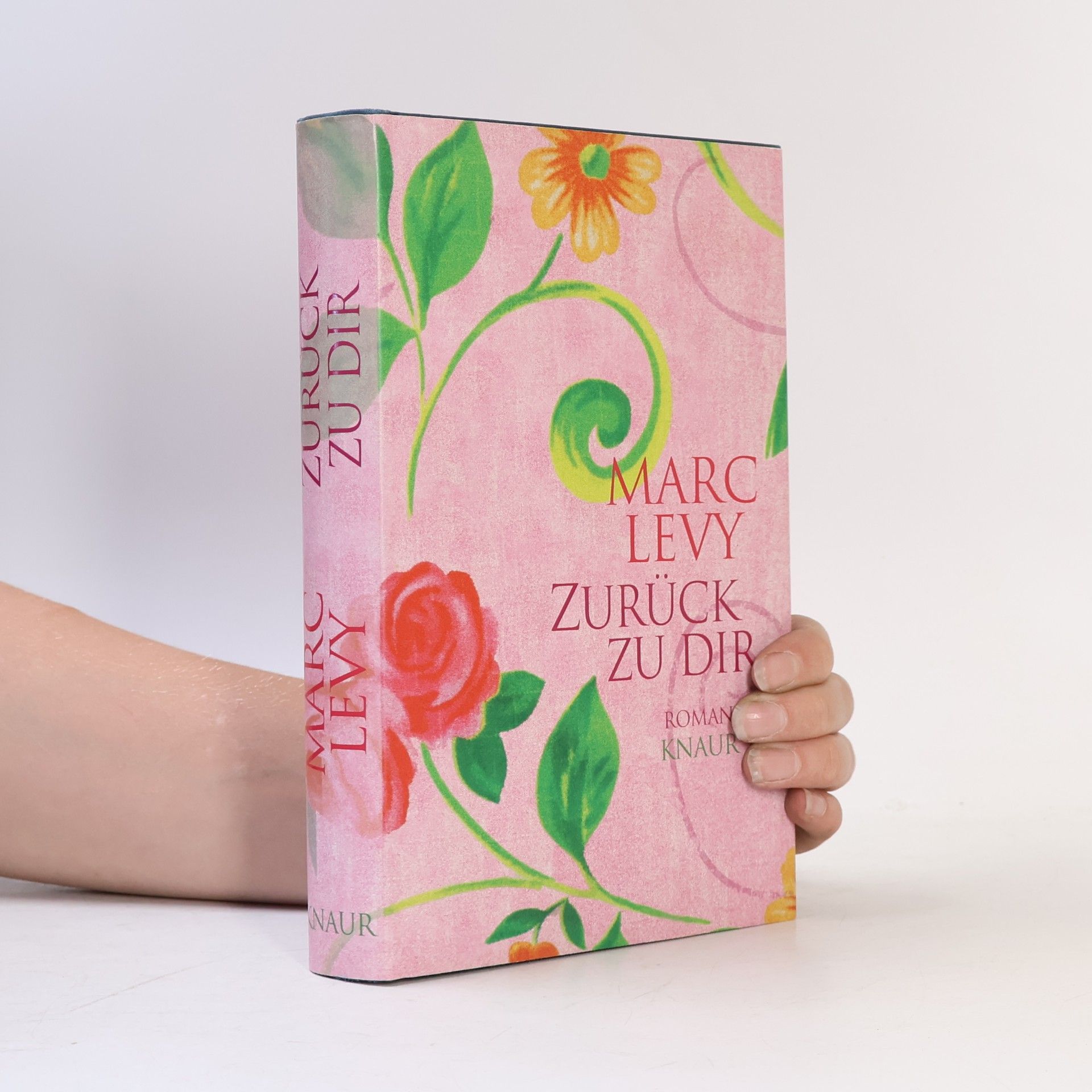 Marc Levy Zurück zu dir