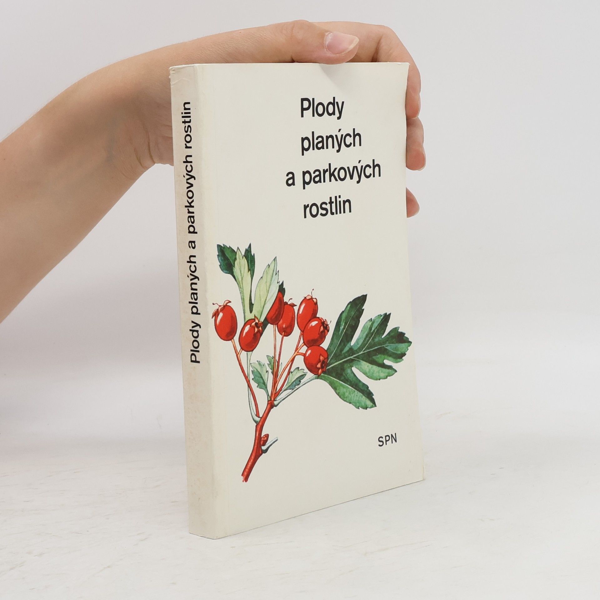 Alois Mikula Plody planých a parkových rostlin : kapesní atlas : pomocná kniha pro biologické zájmové kroužky na školách, v Domech pionýrů a