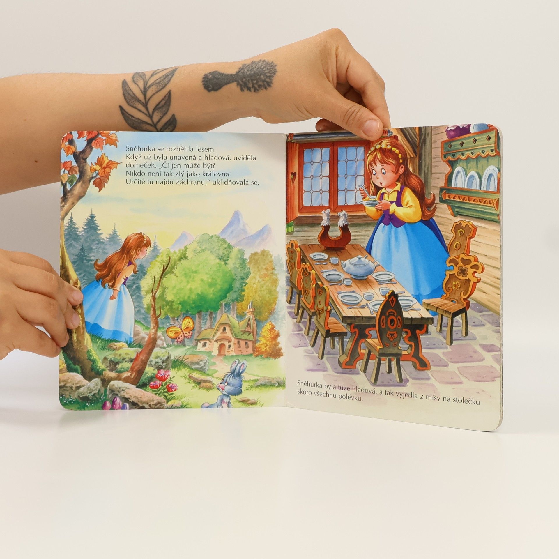 Autores varios Sněhurka a sedm trpaslíků