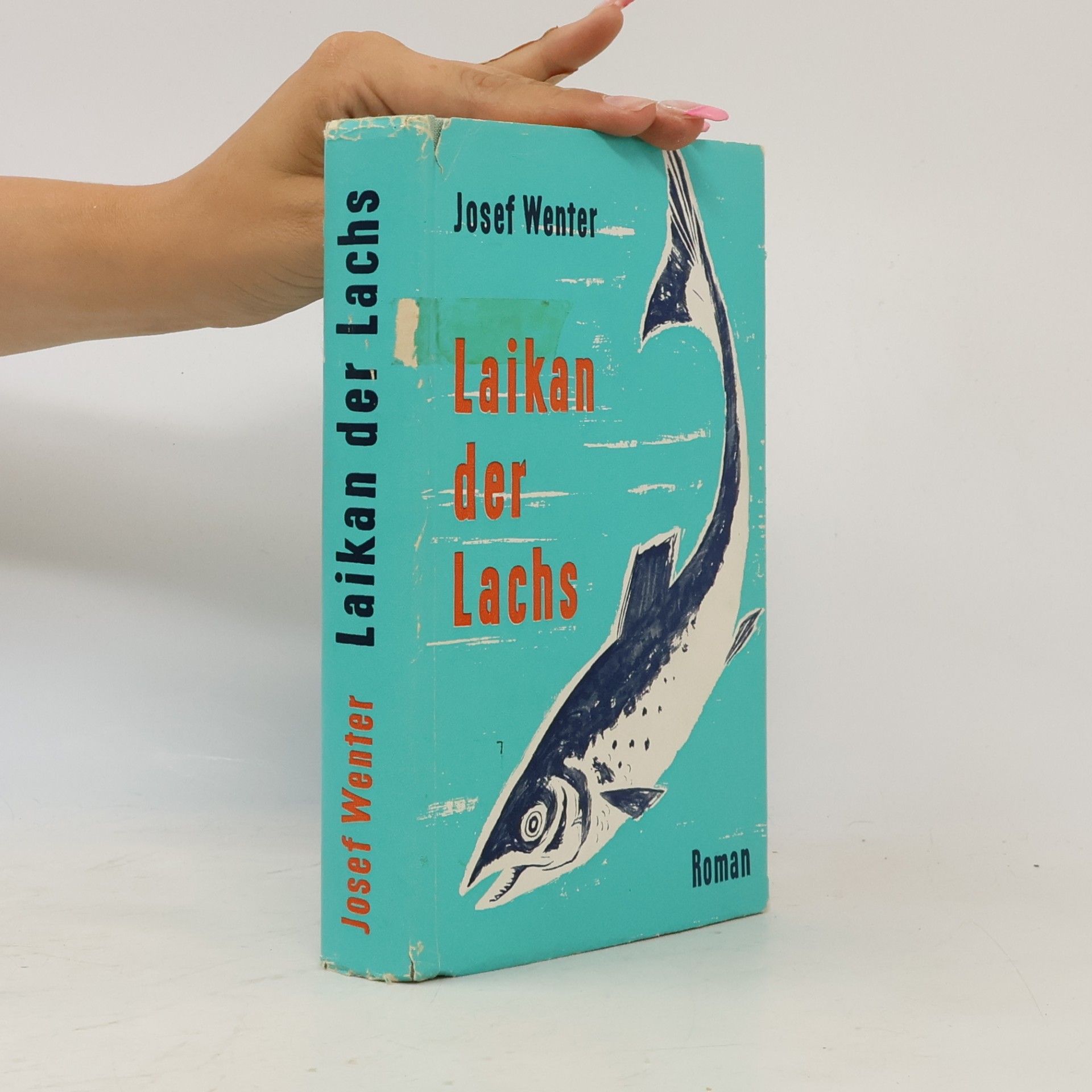 Josef Wenter Laikan der Lachs