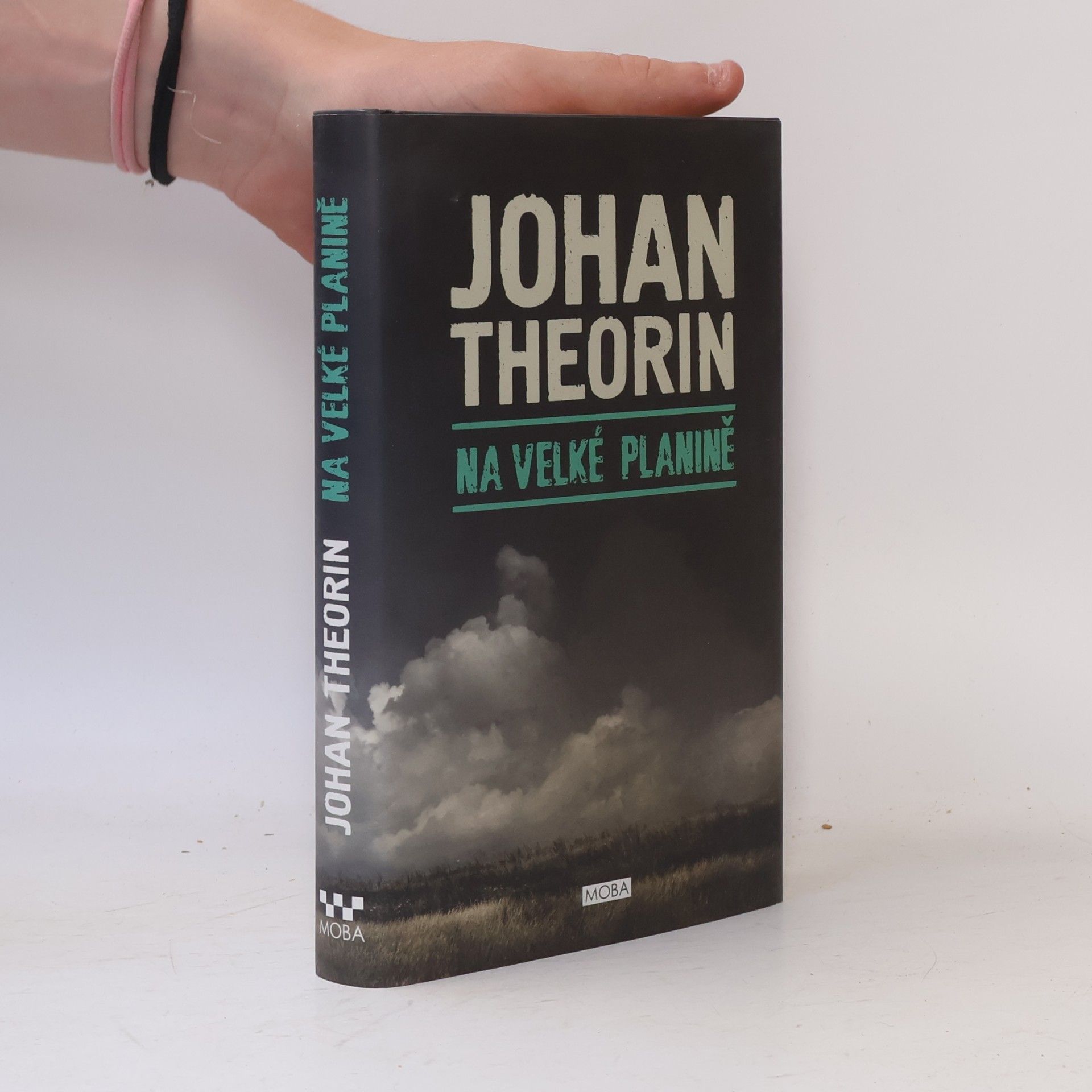 Johan Theorin Na velké planině