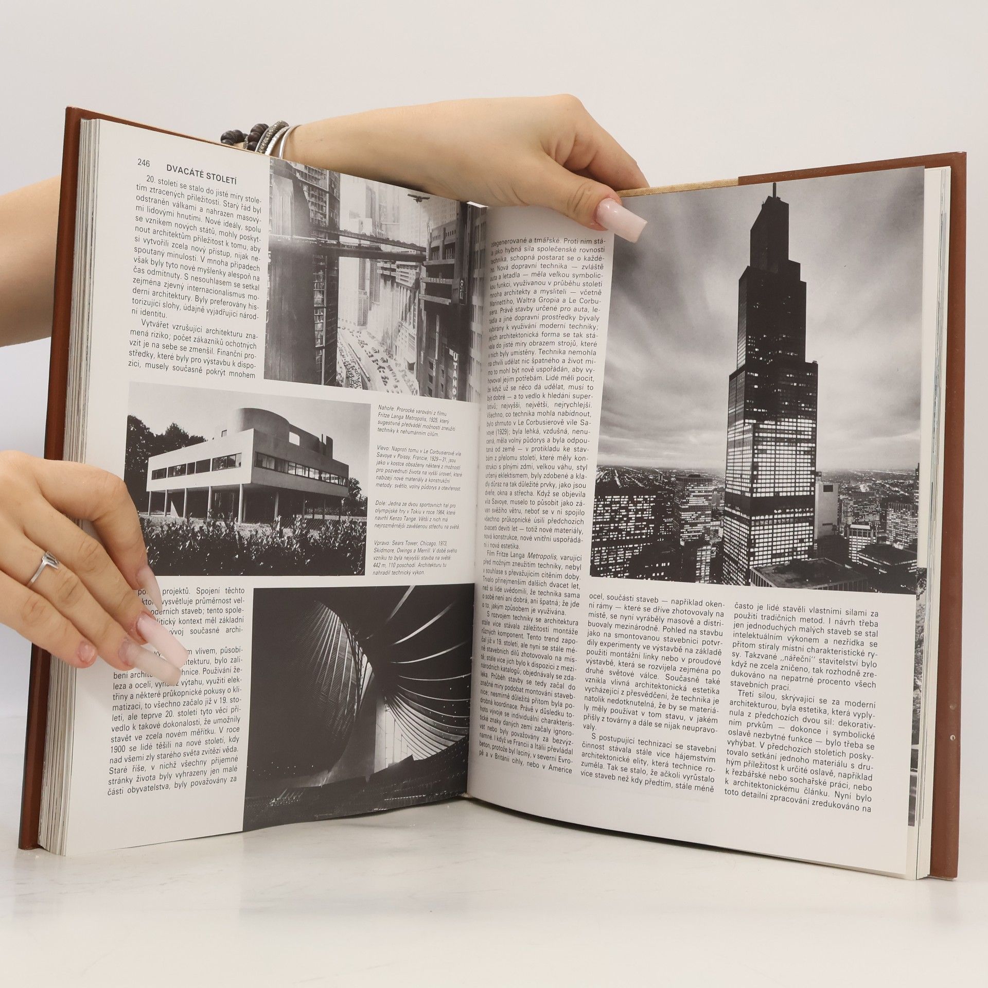 Collectif d'auteurs Dějiny architektury