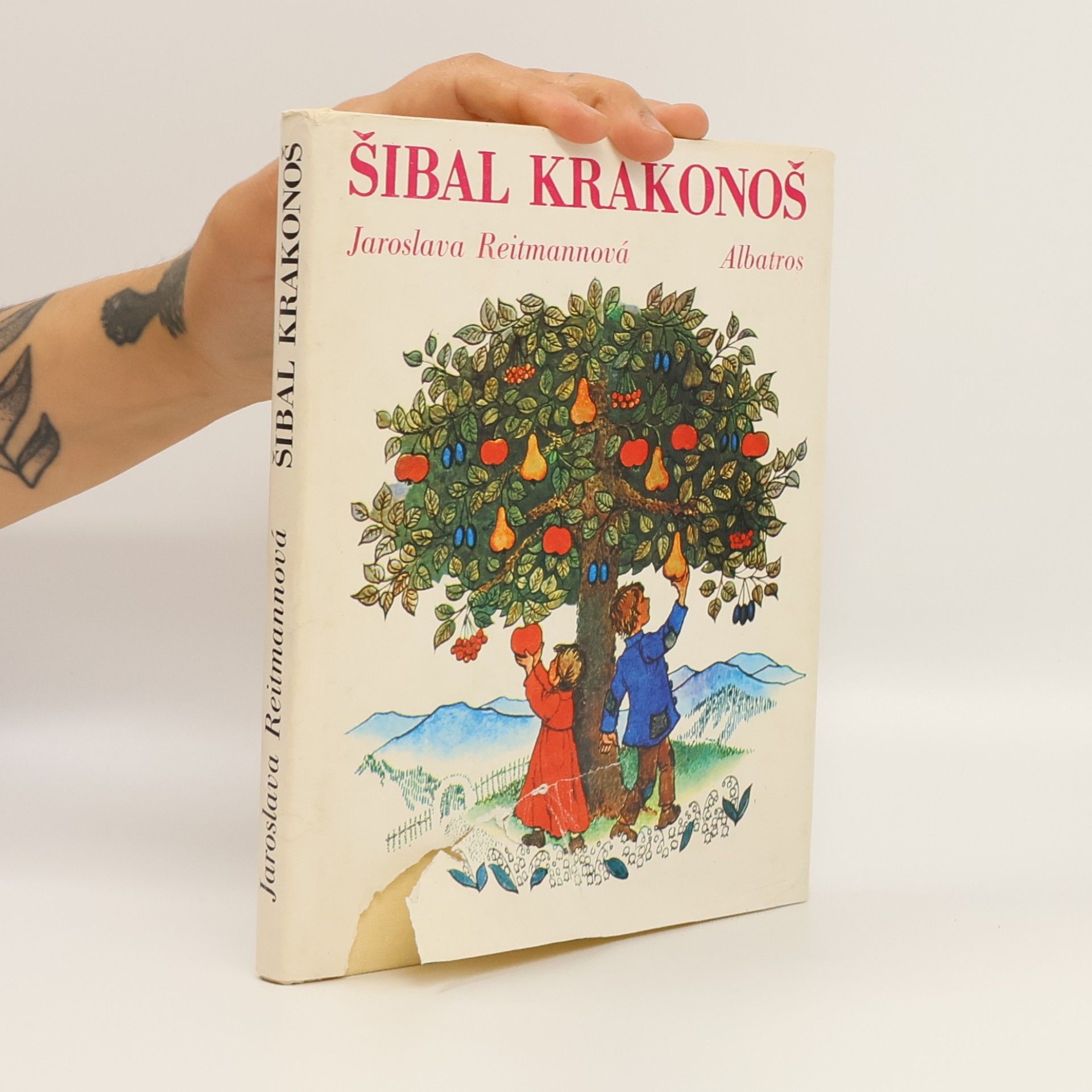 Jaroslava Reitmannová Šibal Krakonoš