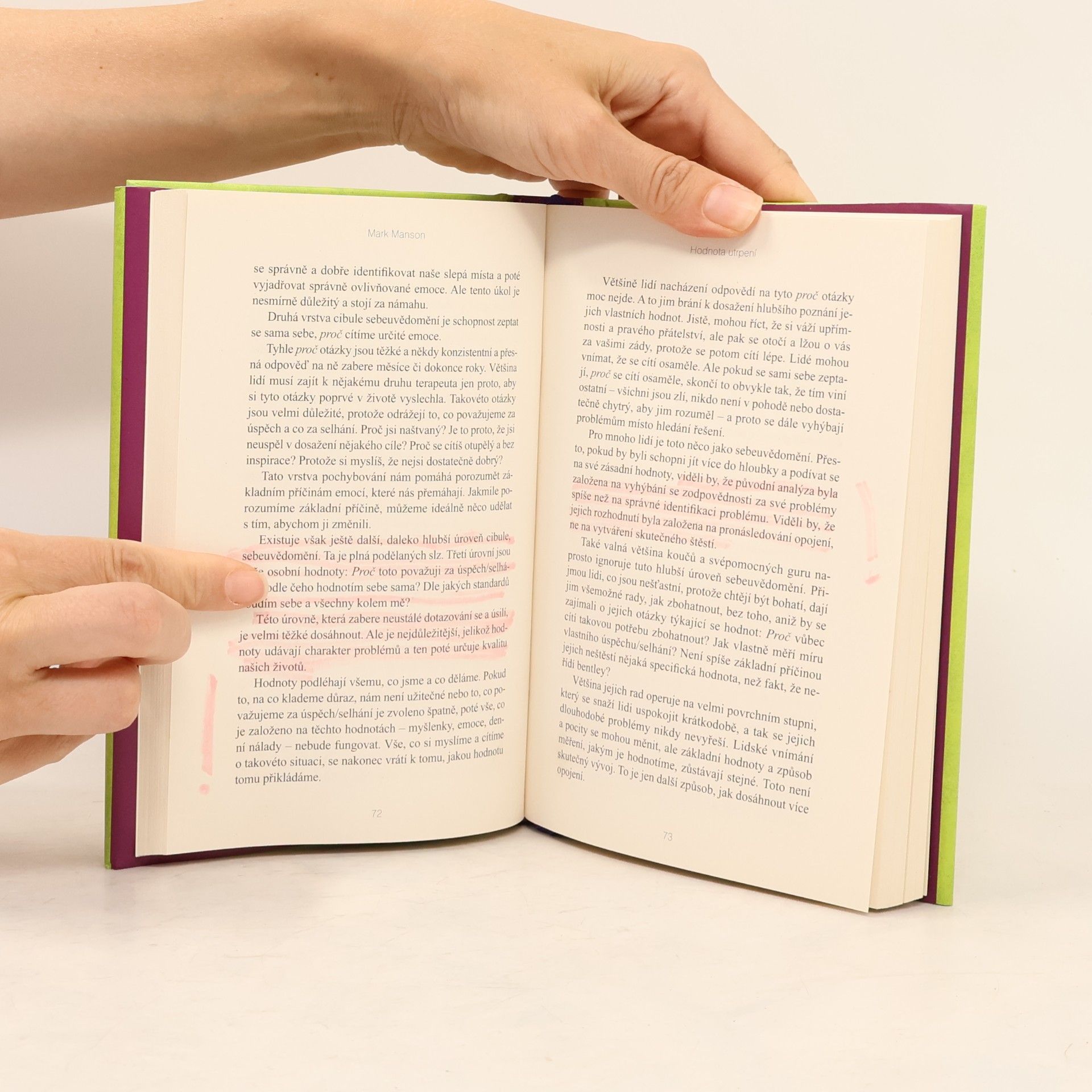 Mark Manson Důmyslné umění, jak mít všechno u pr**le