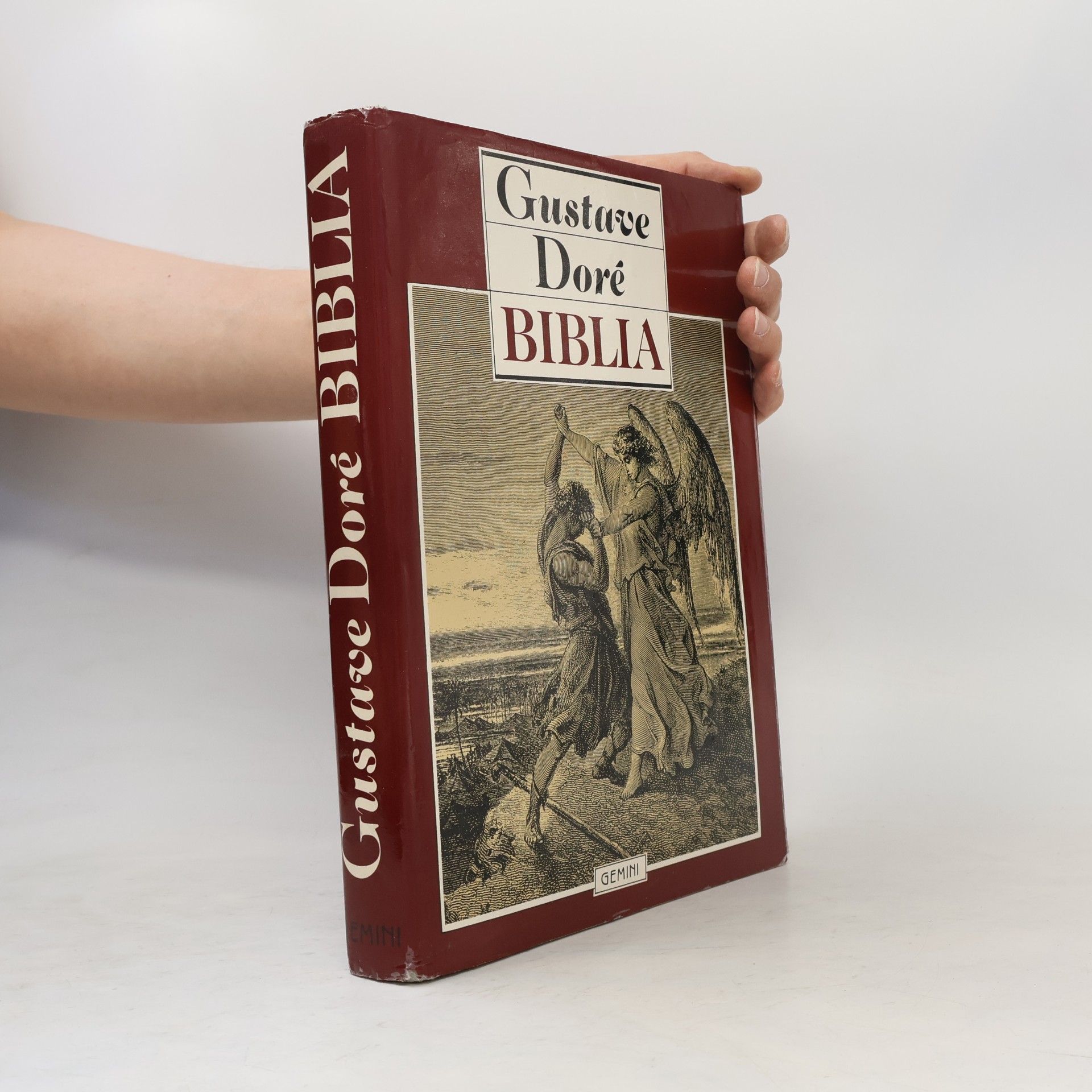 Jan Plesník Gustave Doré. Biblia
