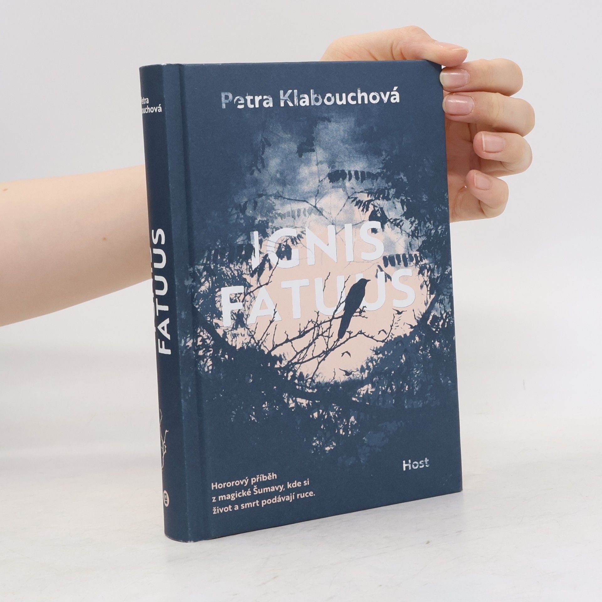 Petra Klabouchová Ignis Fatuus