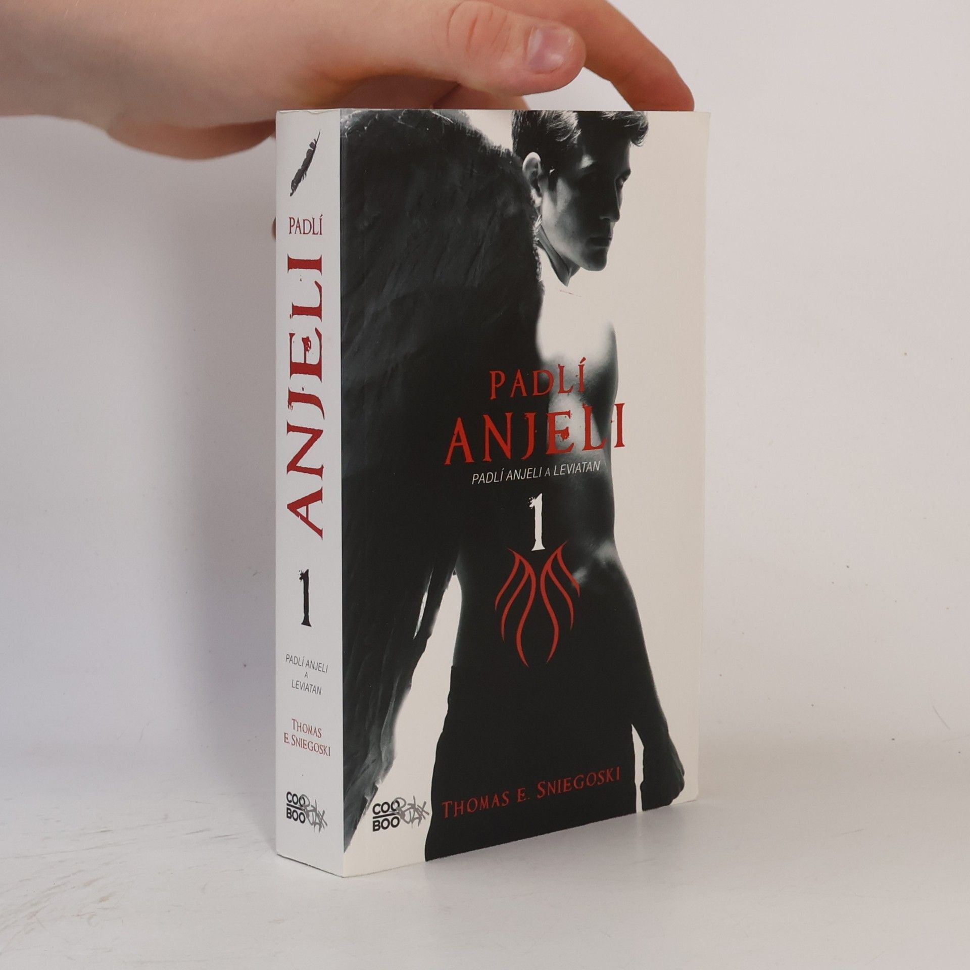 Thomas E. Sniegoski Padlí anjeli 1
