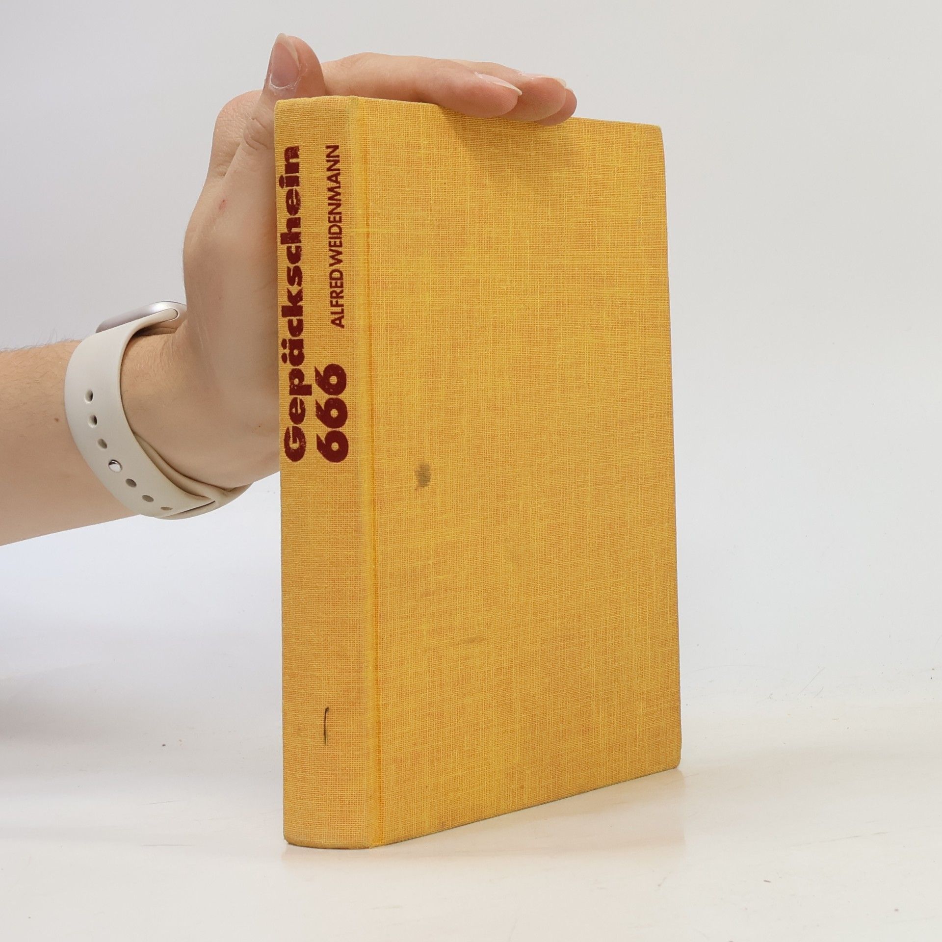 Alfred Weidenmann Gepäckschein 666