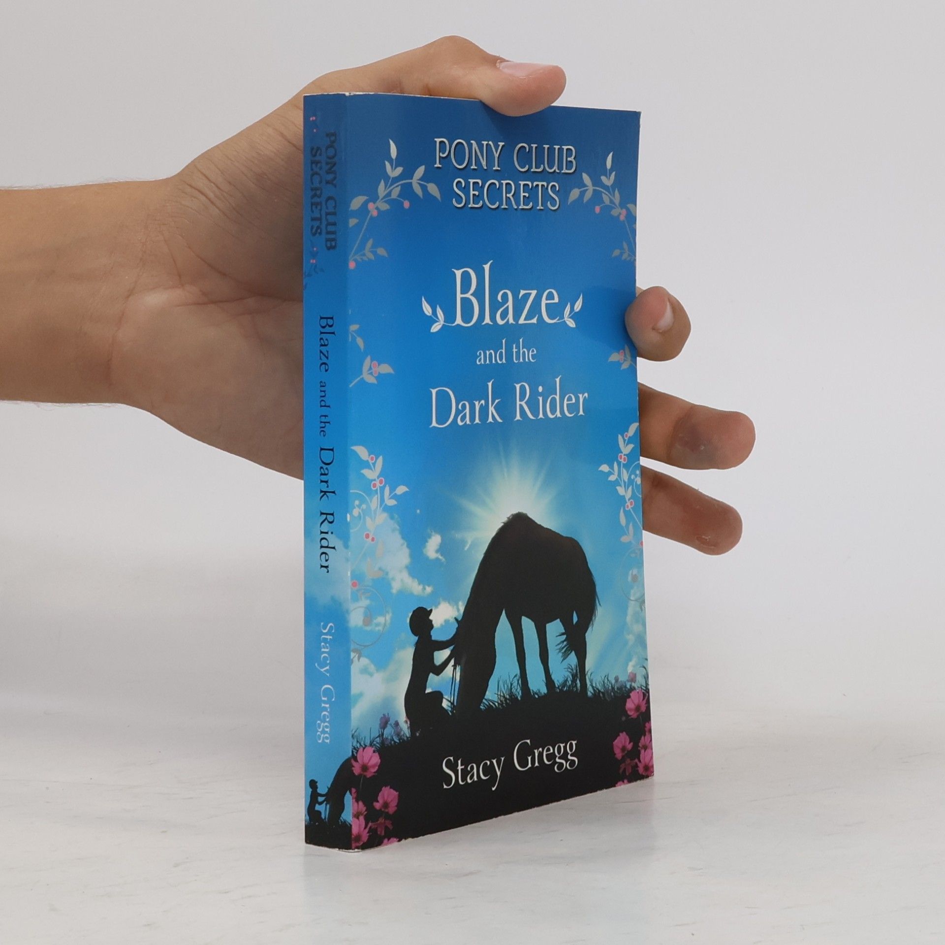 Stacy Gregg Pony Club Secrets: Blaze and the Dark Rider