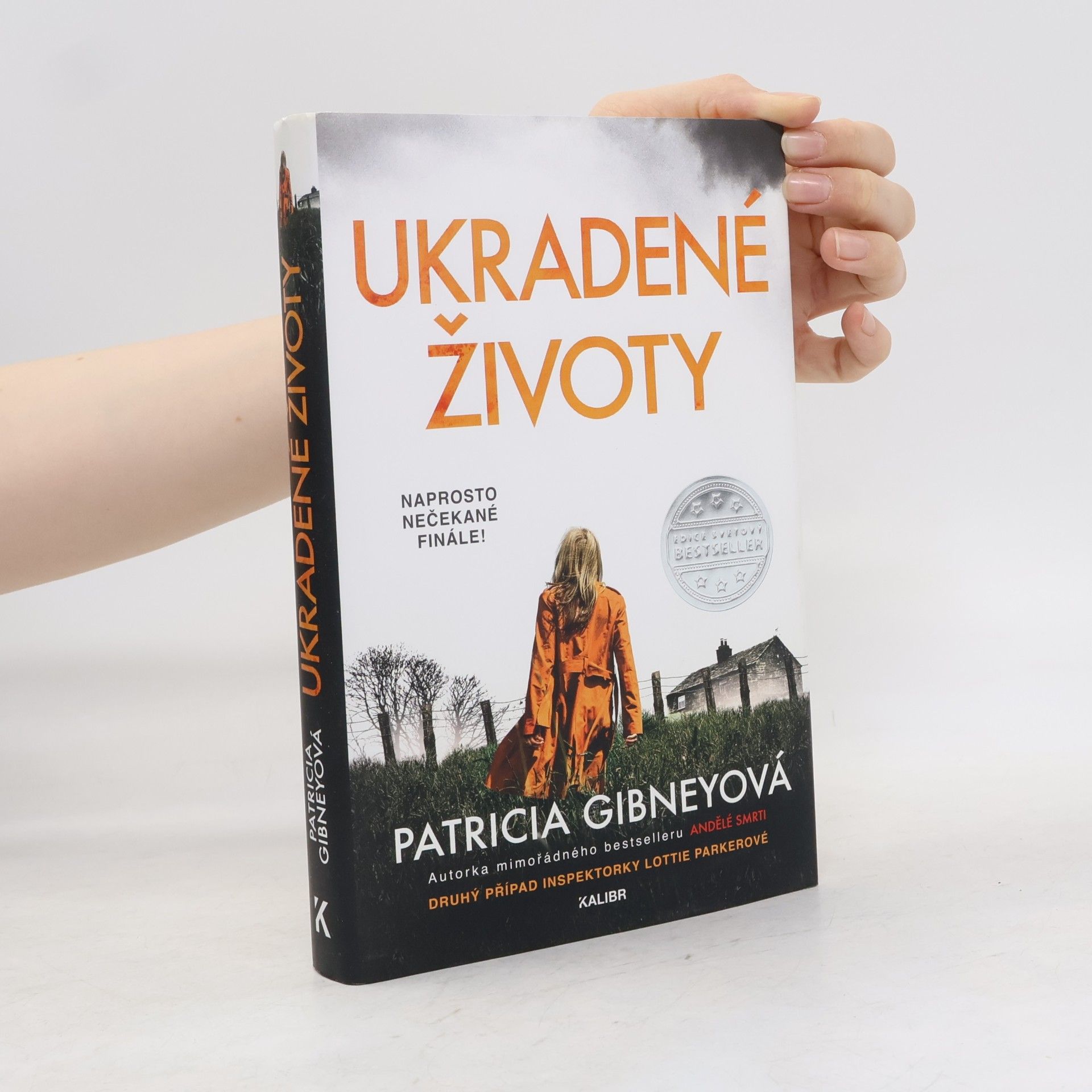Patricia Gibney Ukradené životy