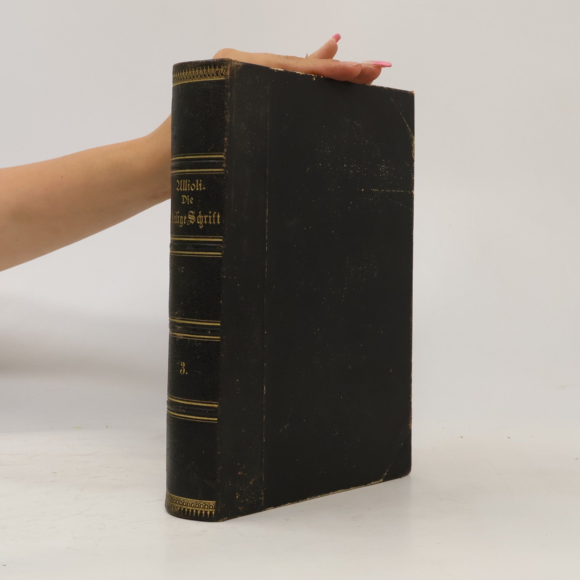 Autorenkollektiv Biblia Sacra Vulgatae Editionis. Die Heilige Schrift des Alten und neuen Testamentes