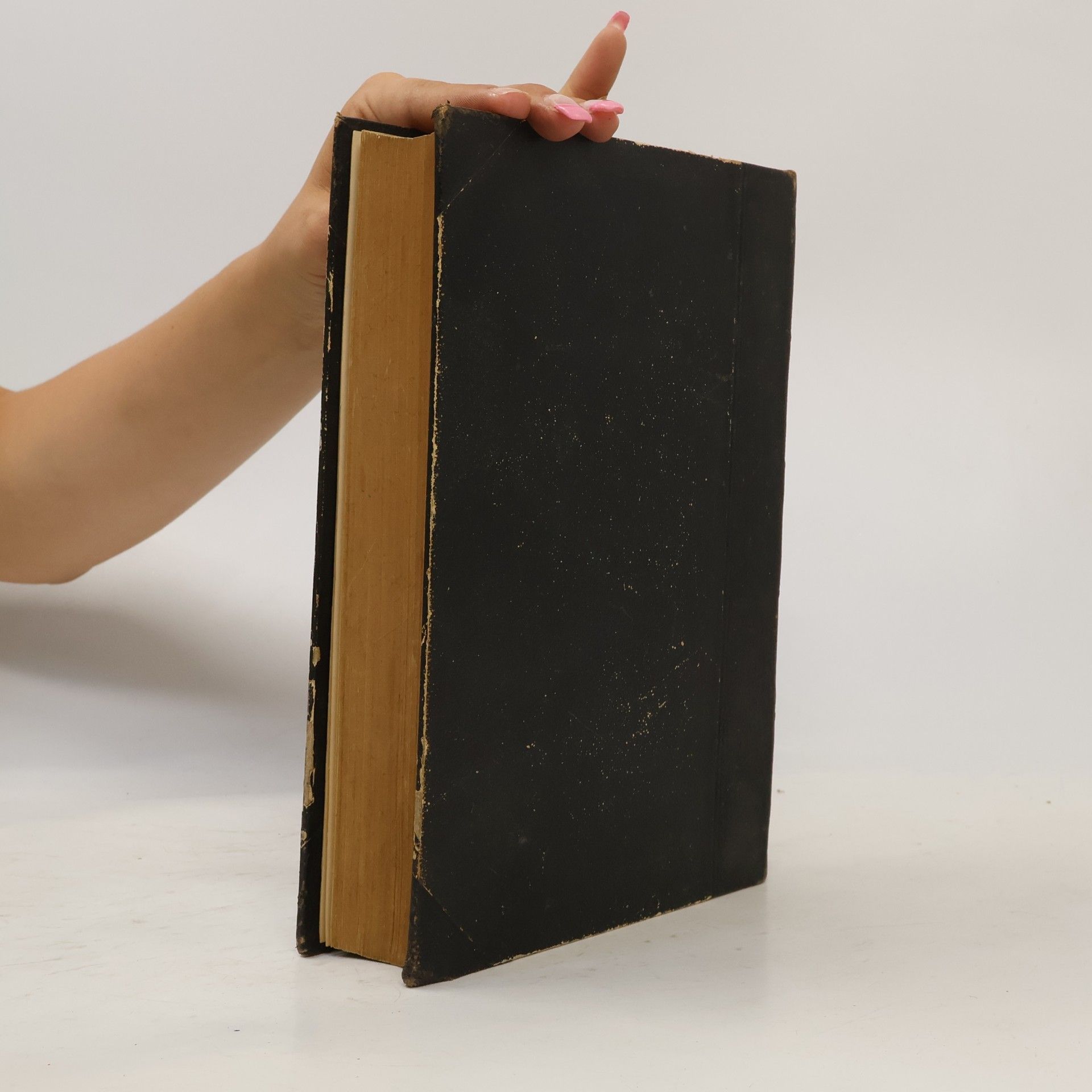 Autorenkollektiv Biblia Sacra Vulgatae Editionis. Die Heilige Schrift des Alten und neuen Testamentes