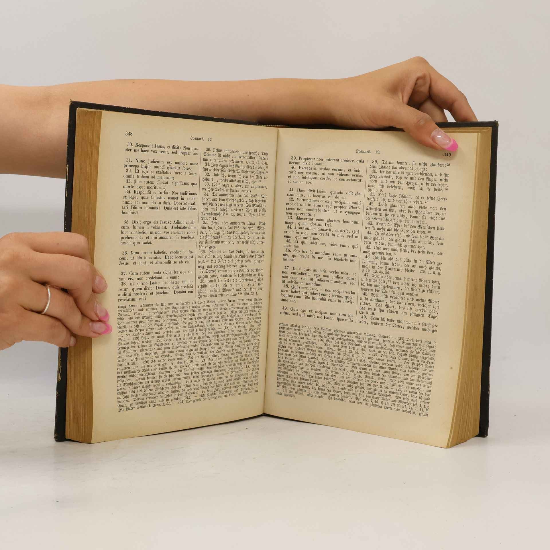 Autorenkollektiv Biblia Sacra Vulgatae Editionis. Die Heilige Schrift des Alten und neuen Testamentes