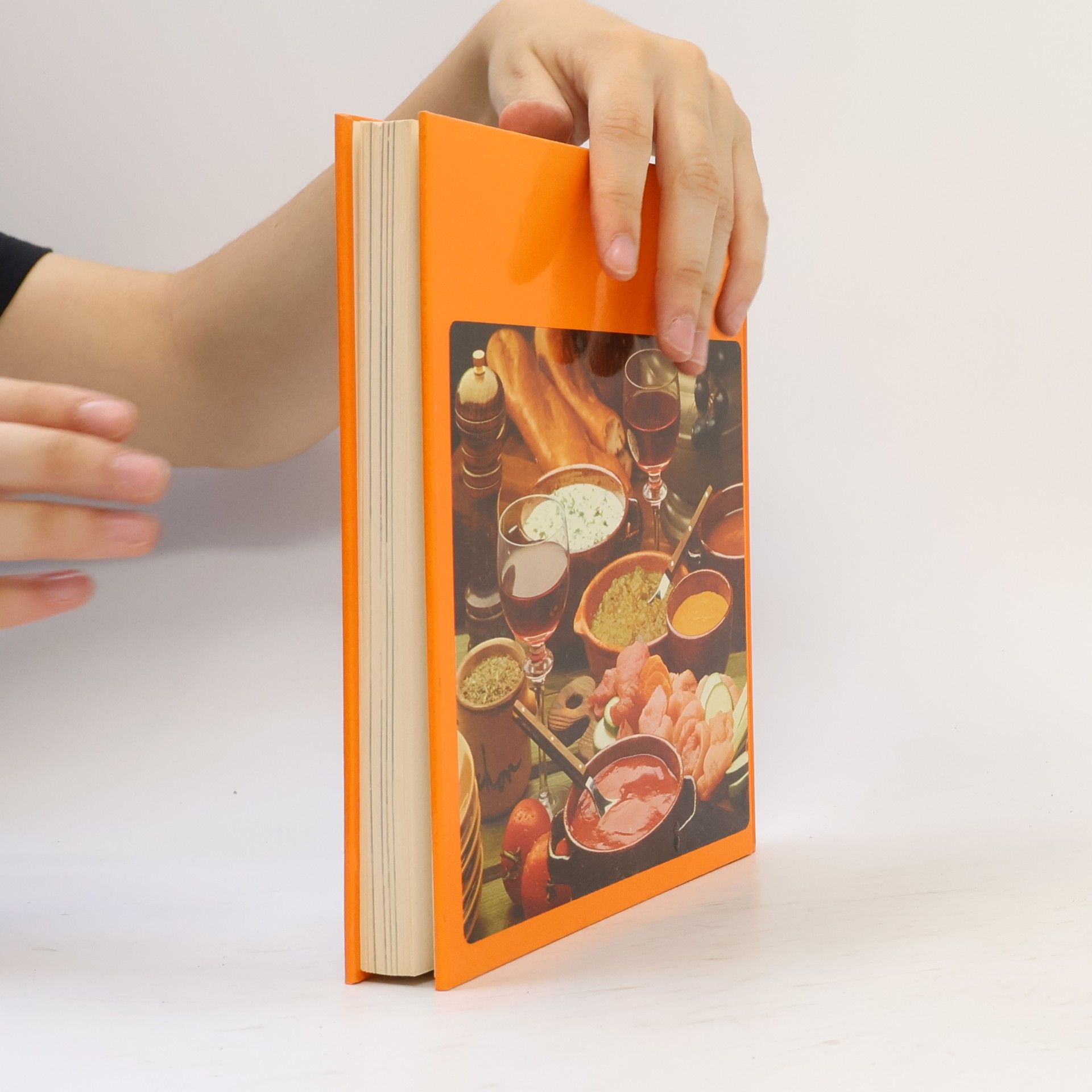 Ulrich Klever Feinschmeckers Fonduebuch