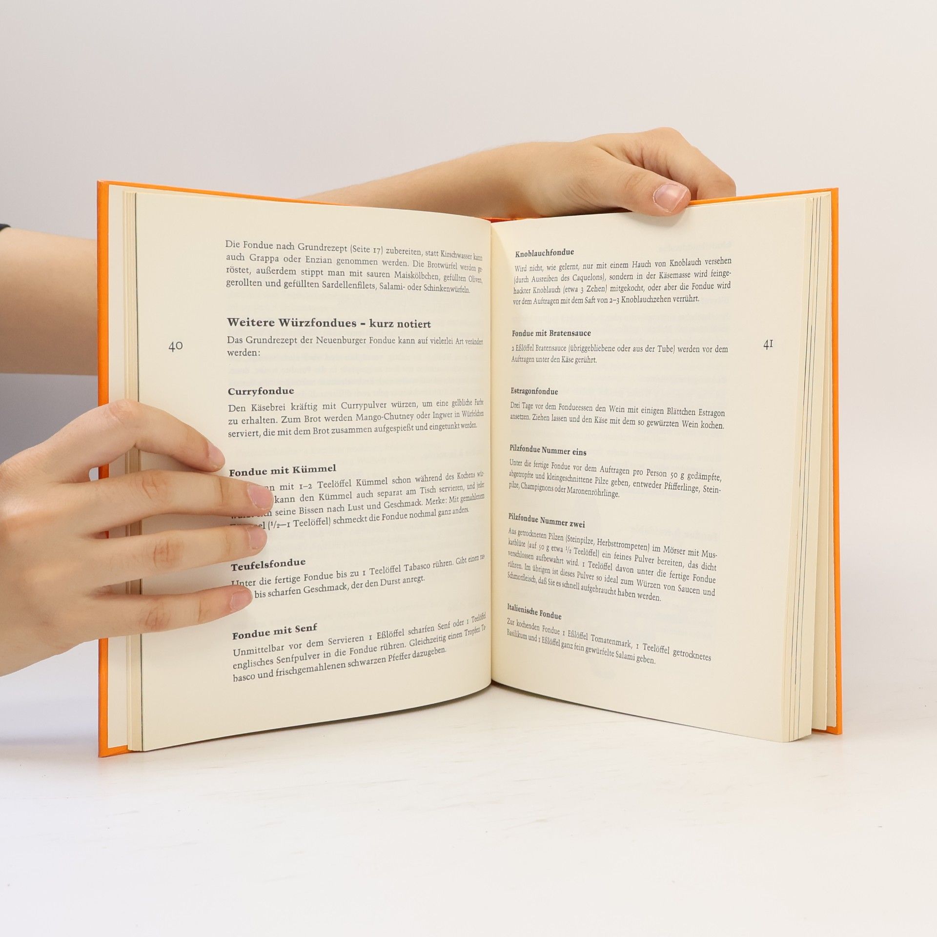 Ulrich Klever Feinschmeckers Fonduebuch