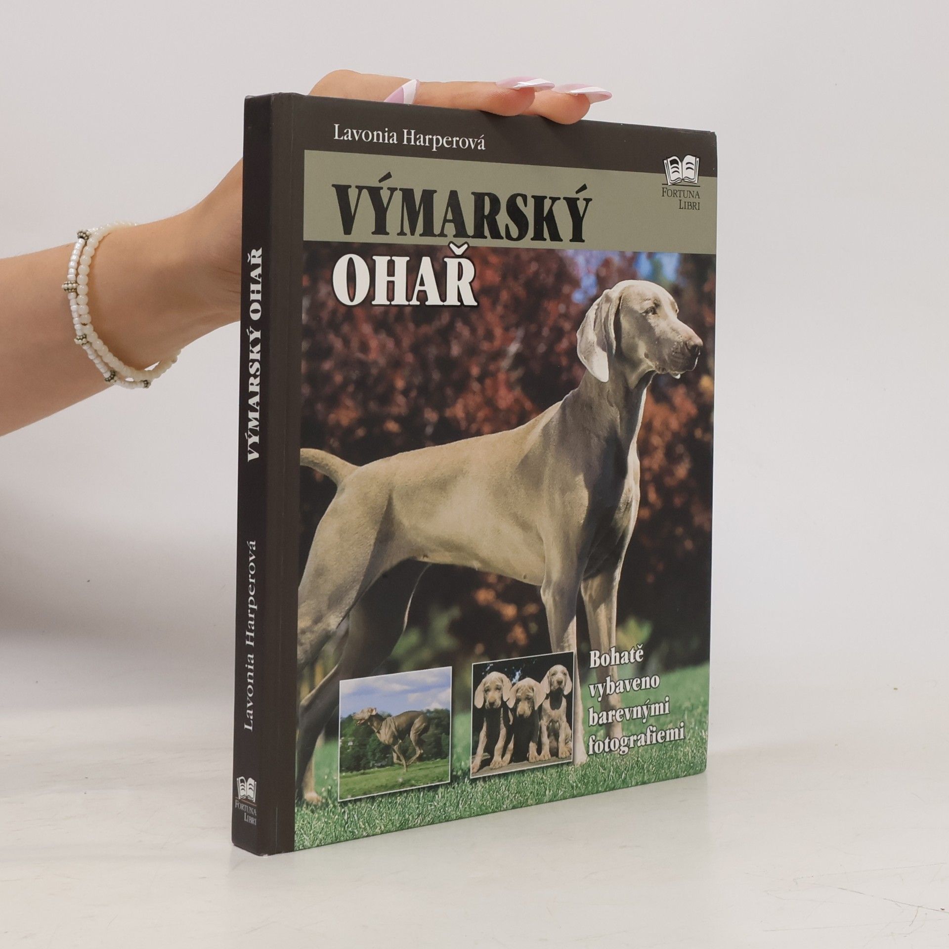 Výmarský ohař