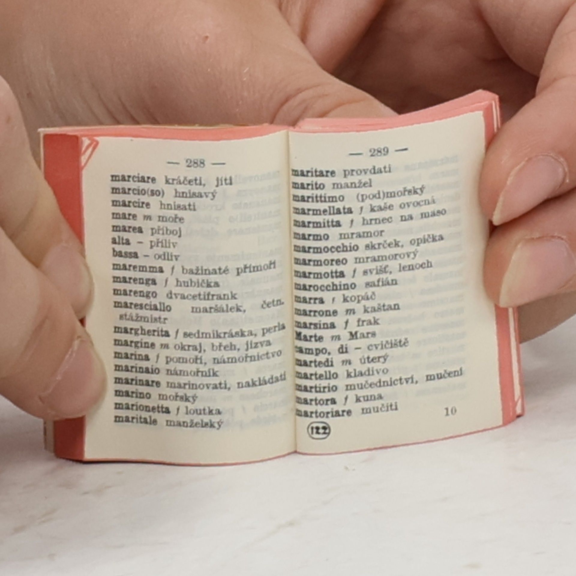 Guglielmo Pánek Dizionario Italiano-Cecco