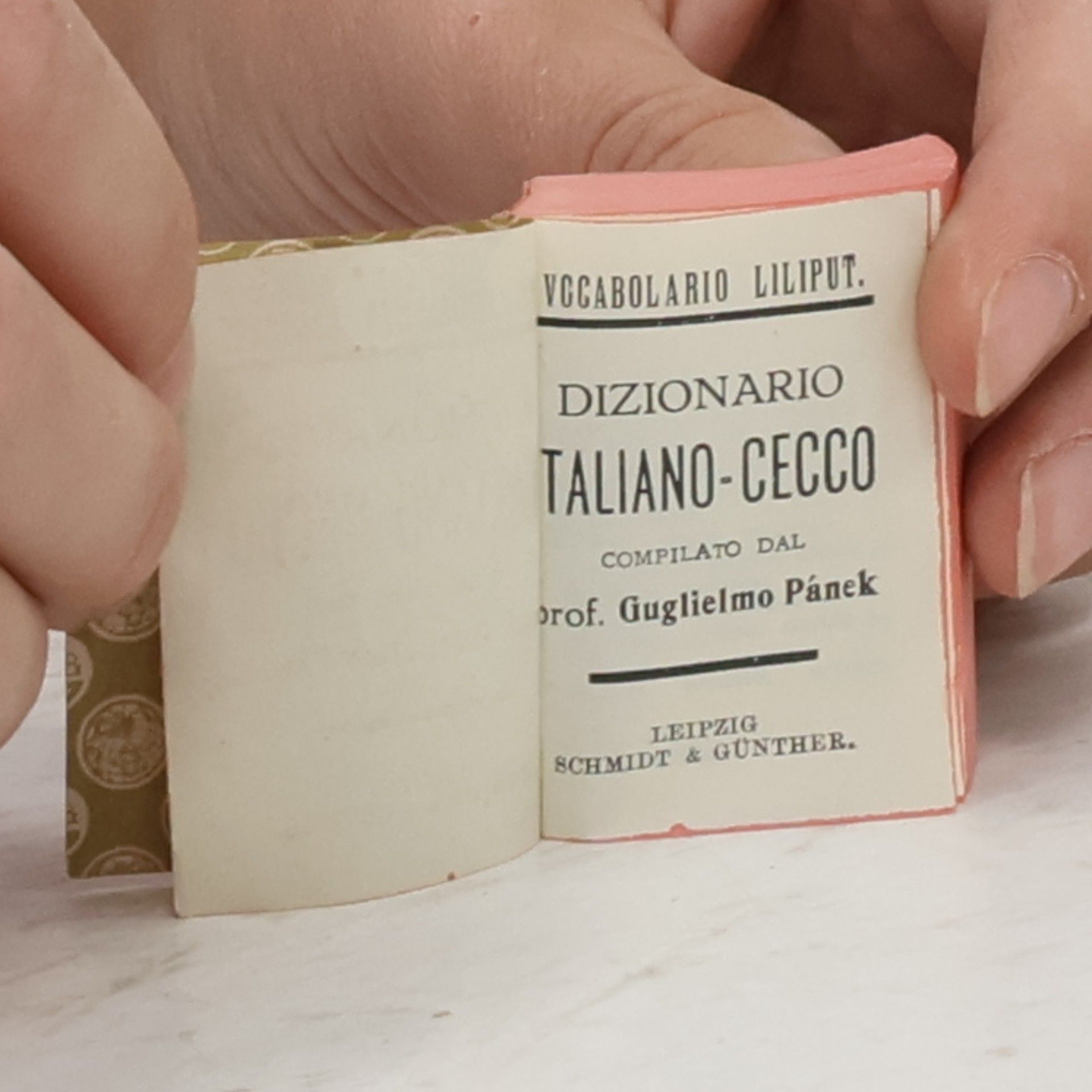 Guglielmo Pánek Dizionario Italiano-Cecco