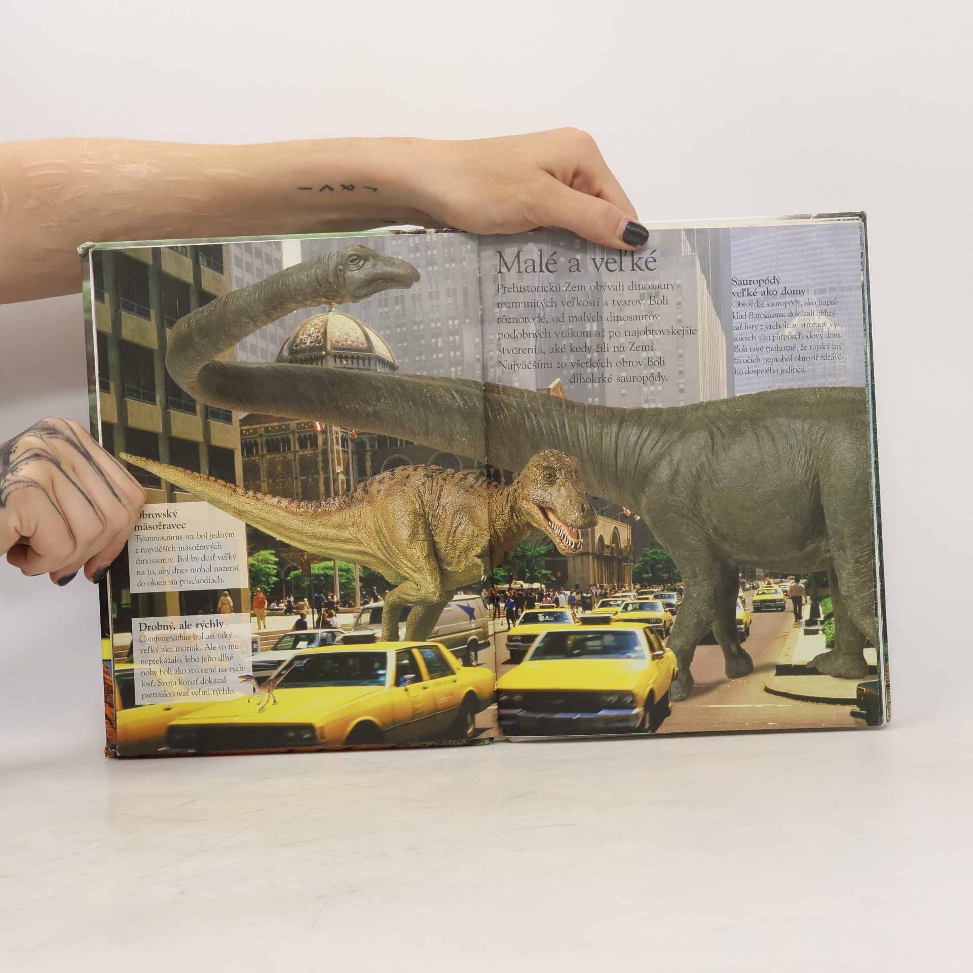 Autores varios Dinosaury