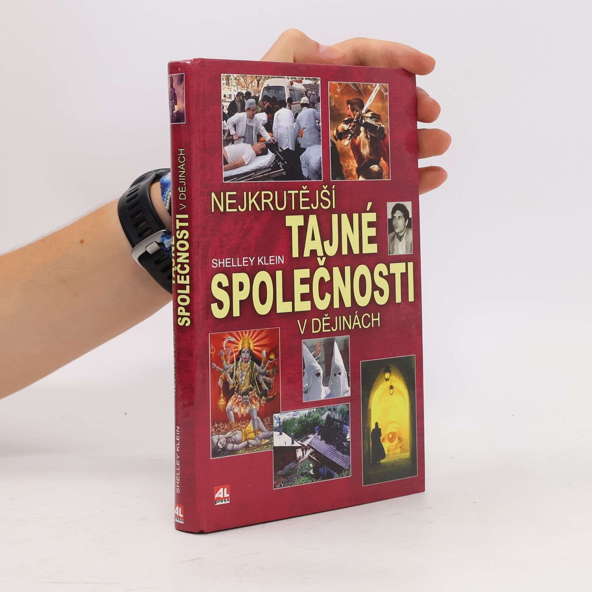 Shelley Klein Nejkrutější tajné společnosti v dějinách