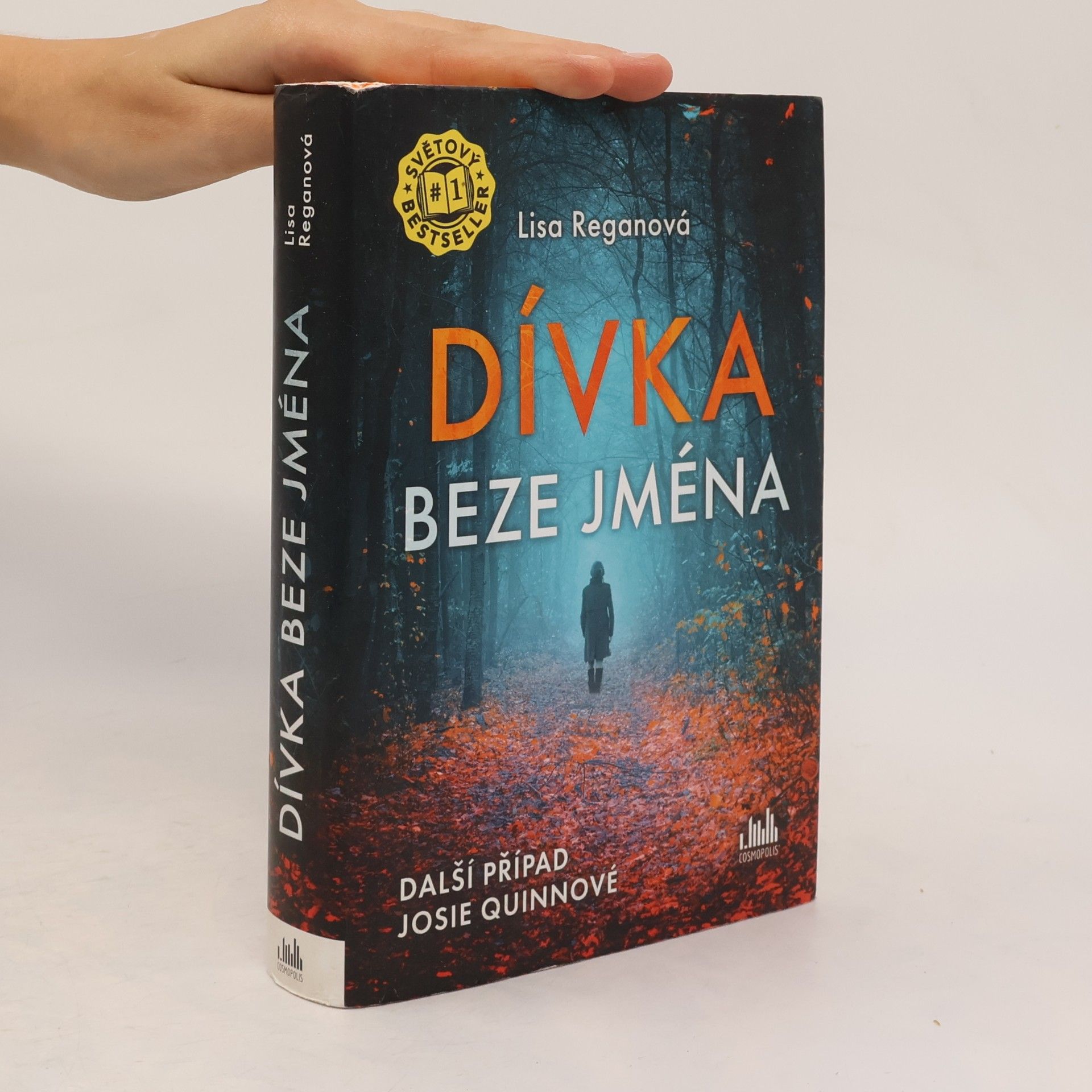 Lisa Regan Dívka beze jména: Další případ Josie Quinnové