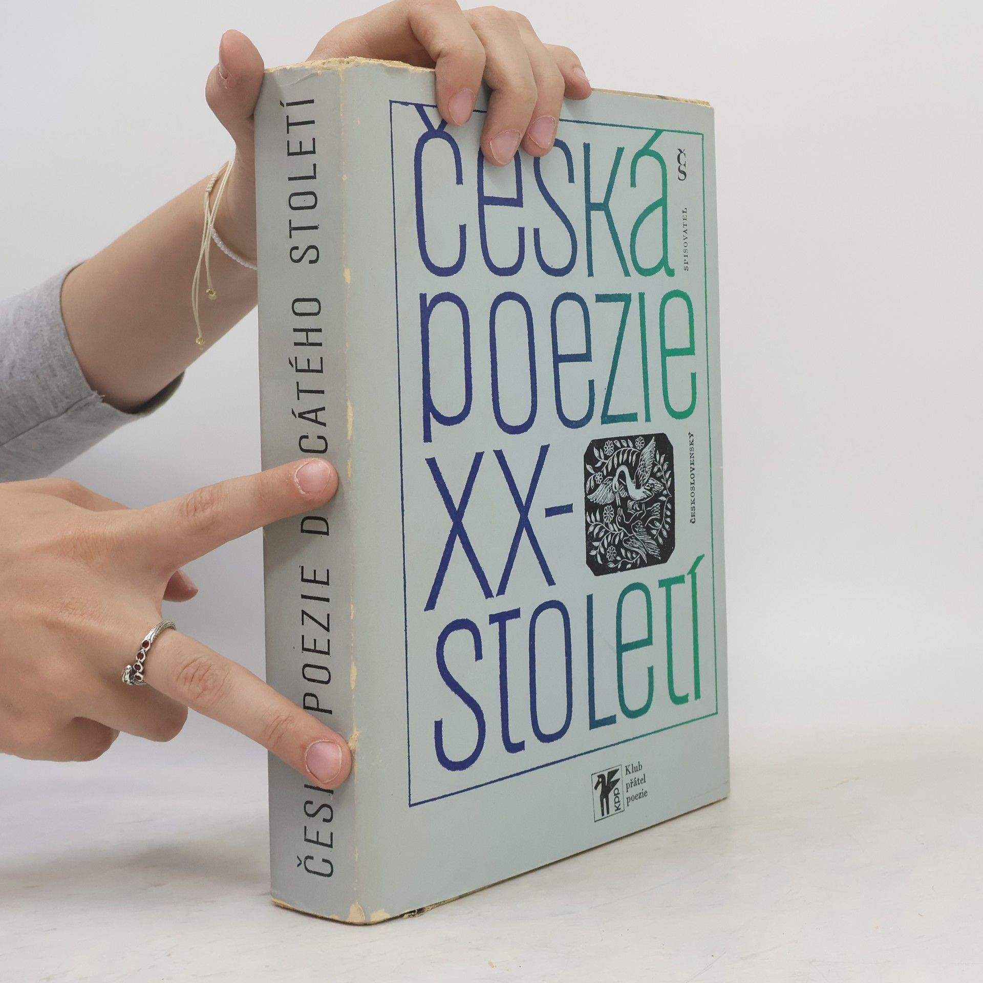 Autorenkollektiv Česká poezie dvacátého století