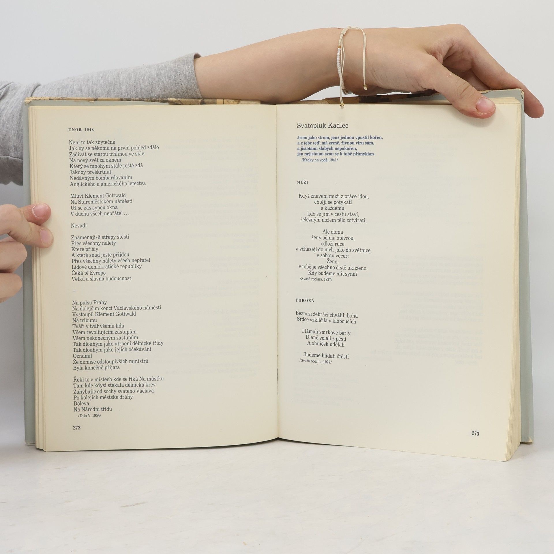 Autorenkollektiv Česká poezie dvacátého století