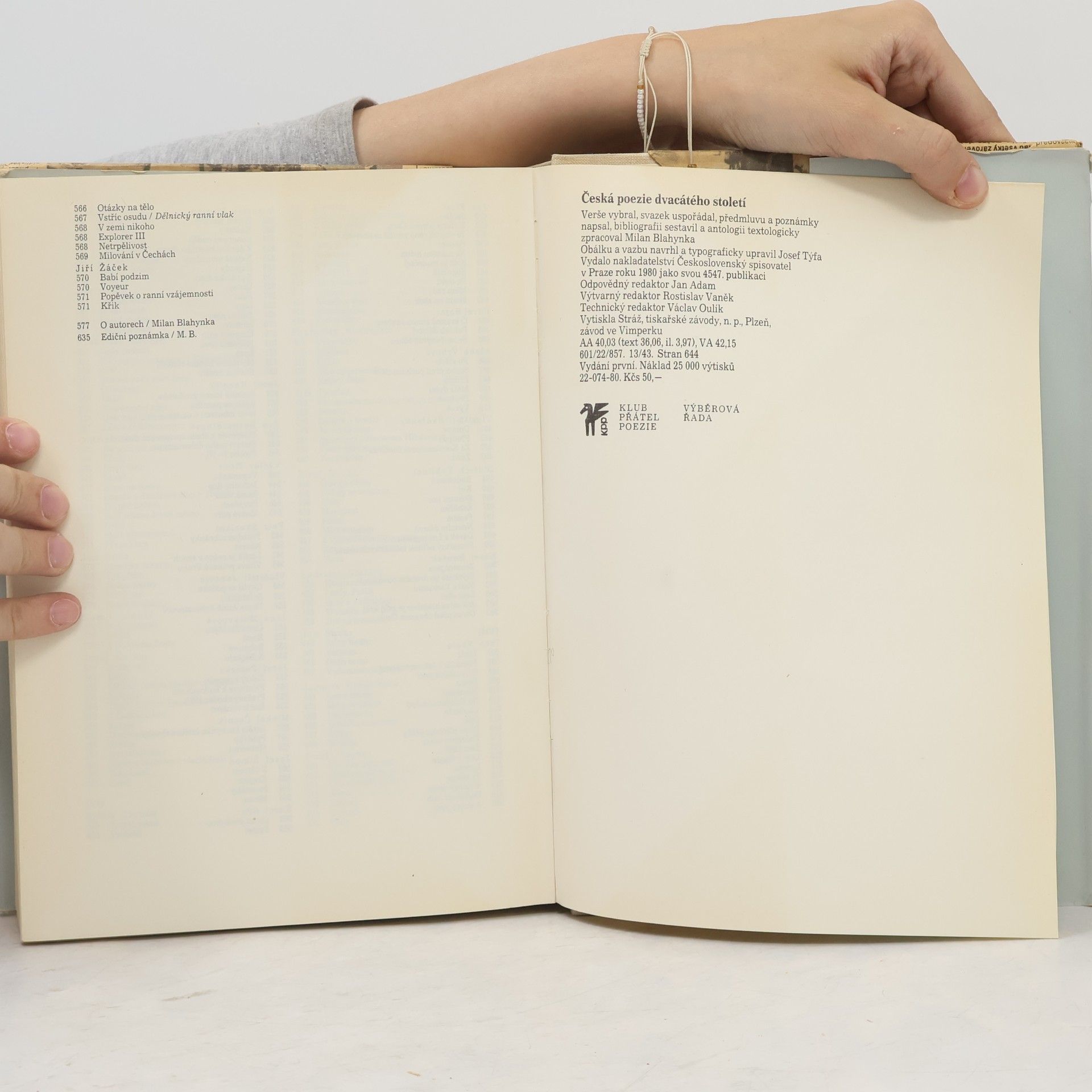 Autorenkollektiv Česká poezie dvacátého století