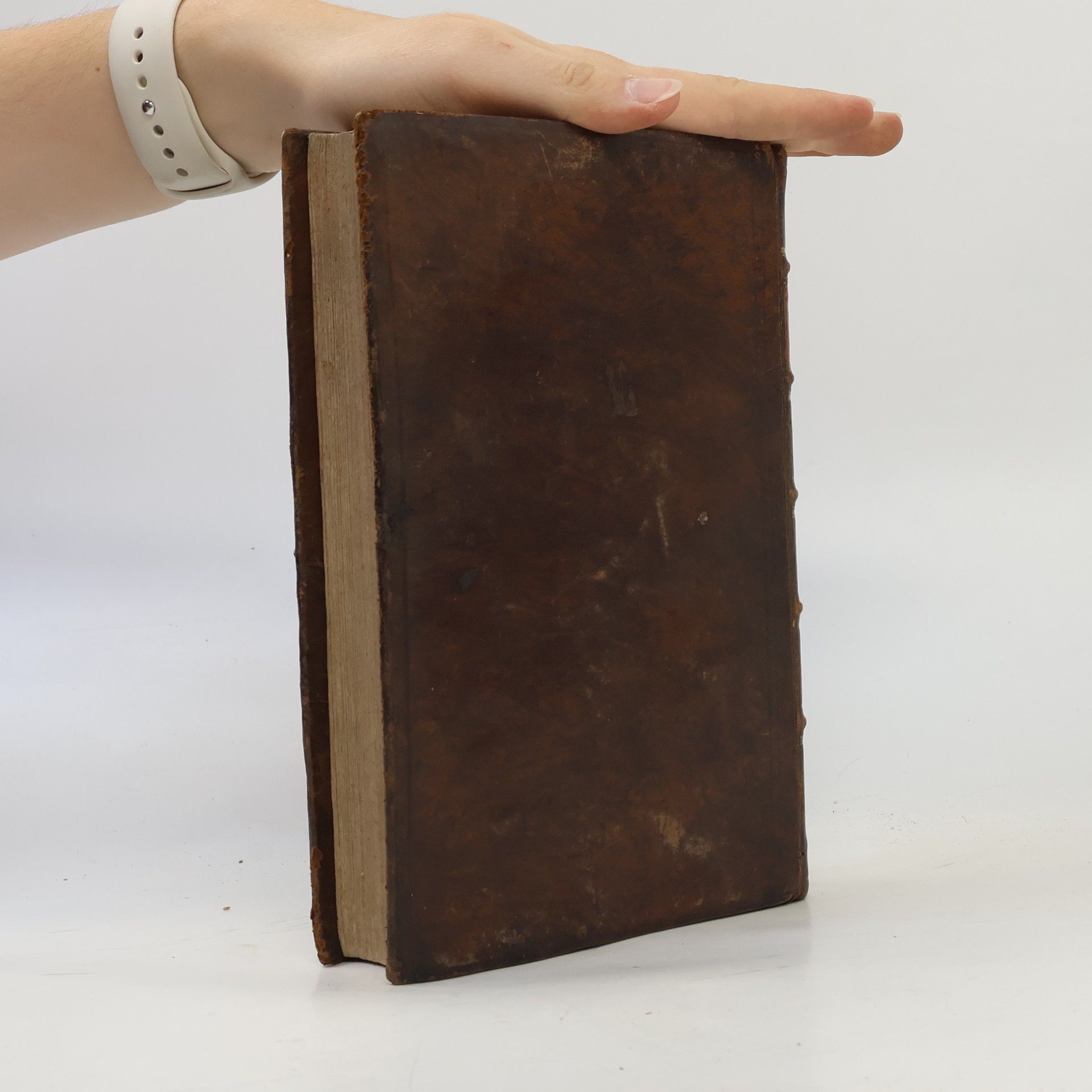 Christoph Fischer Die heilige Schrift des neuen Testaments, übersetzt, und mit Erklärungen versehen