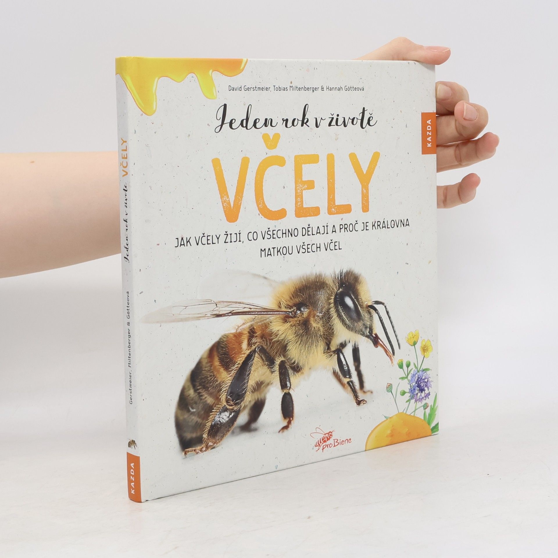 Tobias Miltenberger Jeden rok v životě včely