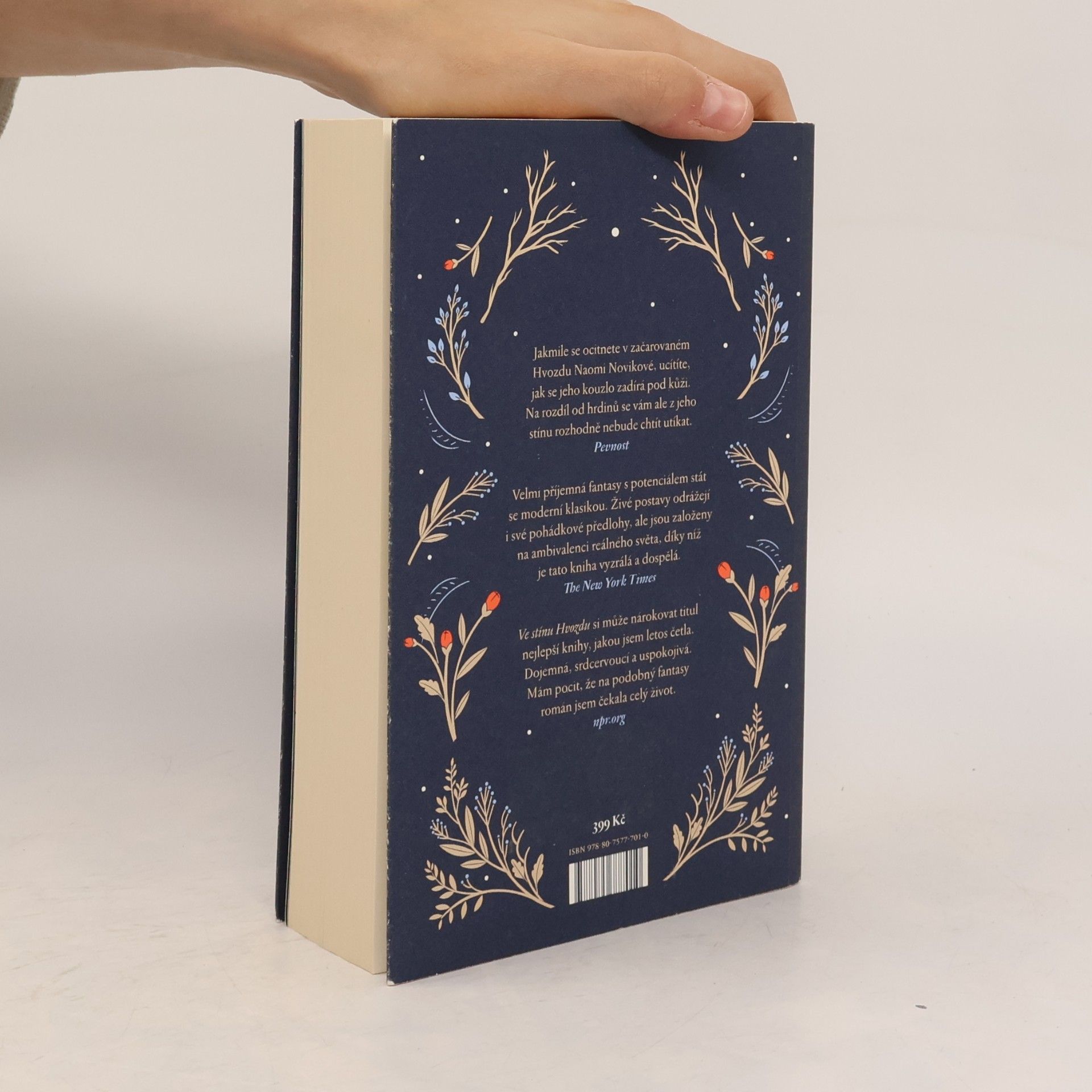Naomi Novik Ve stínu Hvozdu