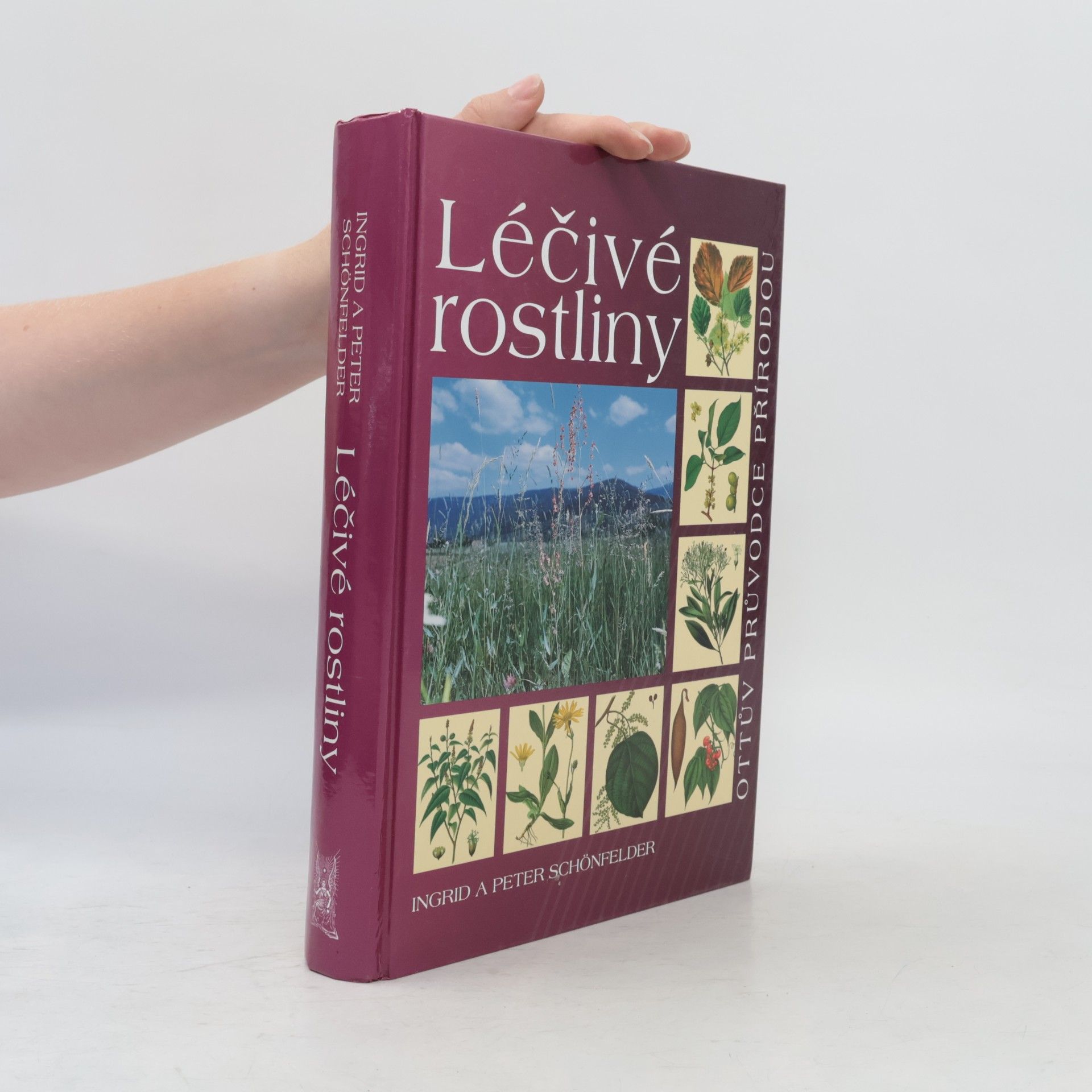 Peter Schönfelder Léčivé rostliny