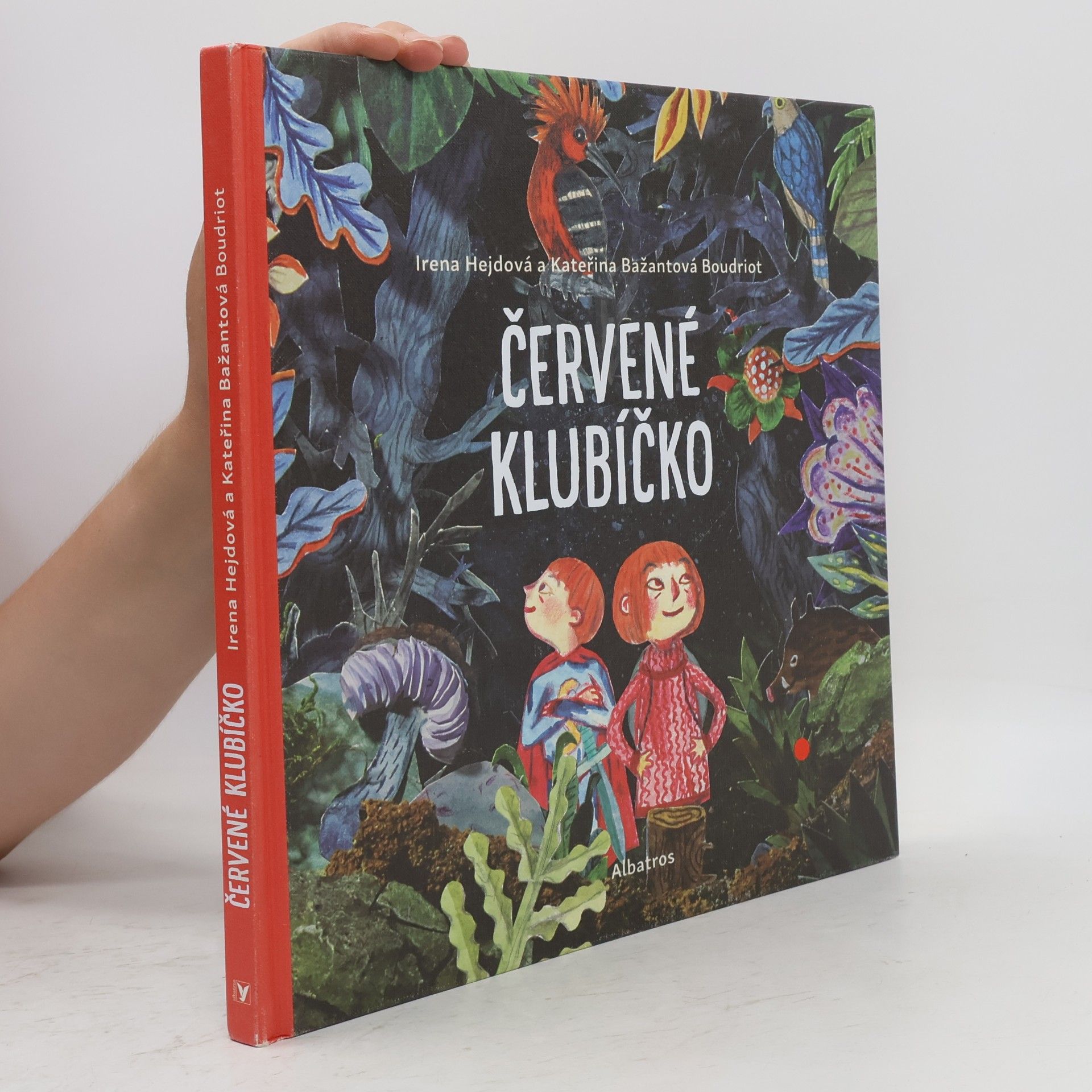 Irena Hejdová Červené klubíčko