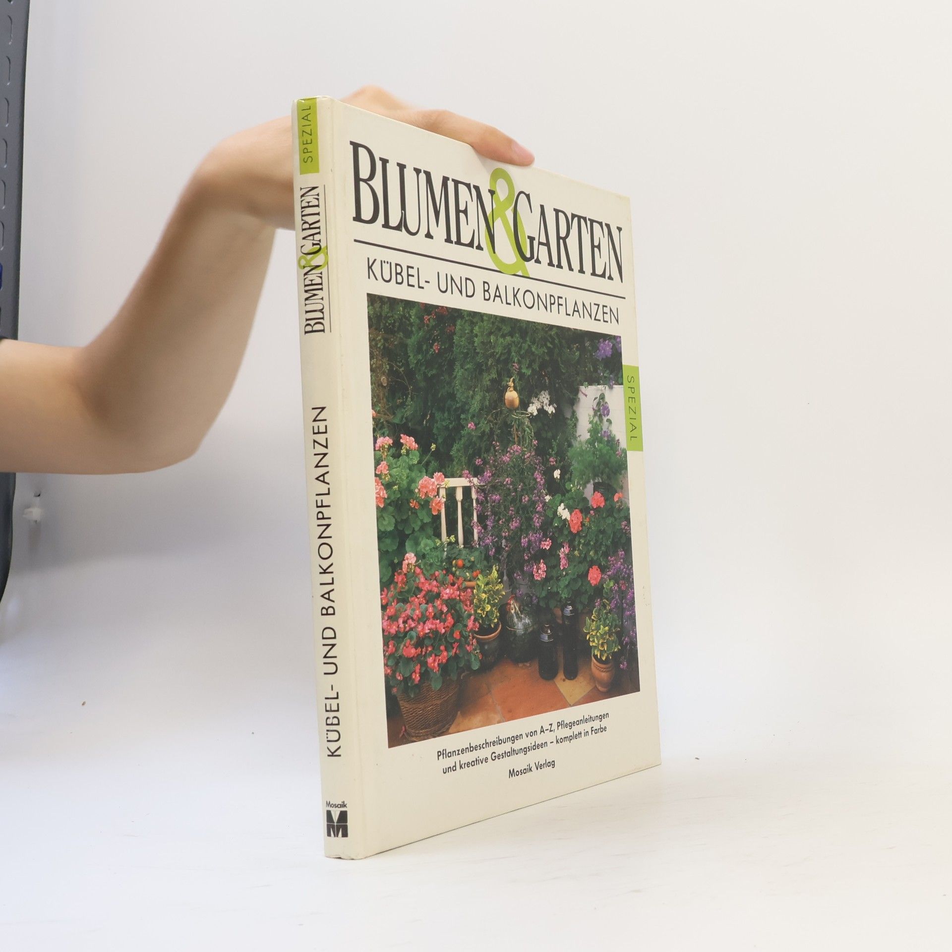 Autorenkollektiv Kübel - und Balkonpflanzen
