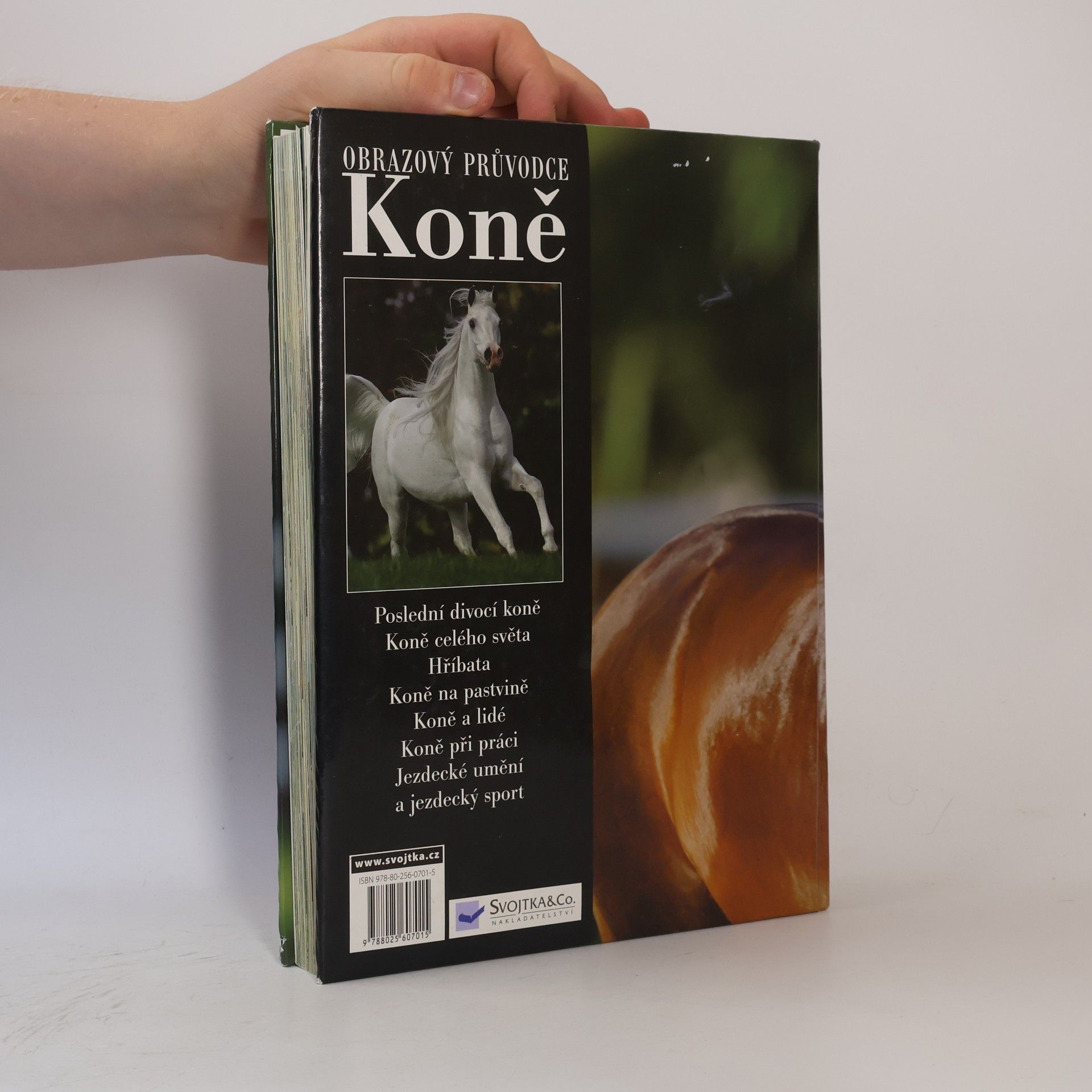 Autorenkollektiv Koně. Obrazový průvodce