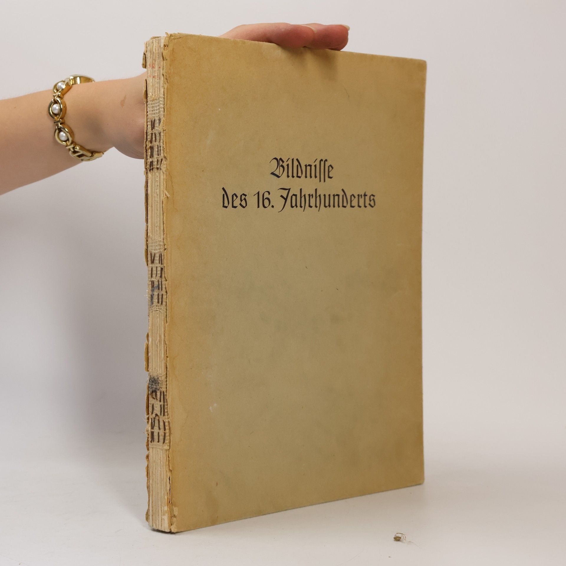 AA.VV. Bildnisse des 16. Jahrhunderts